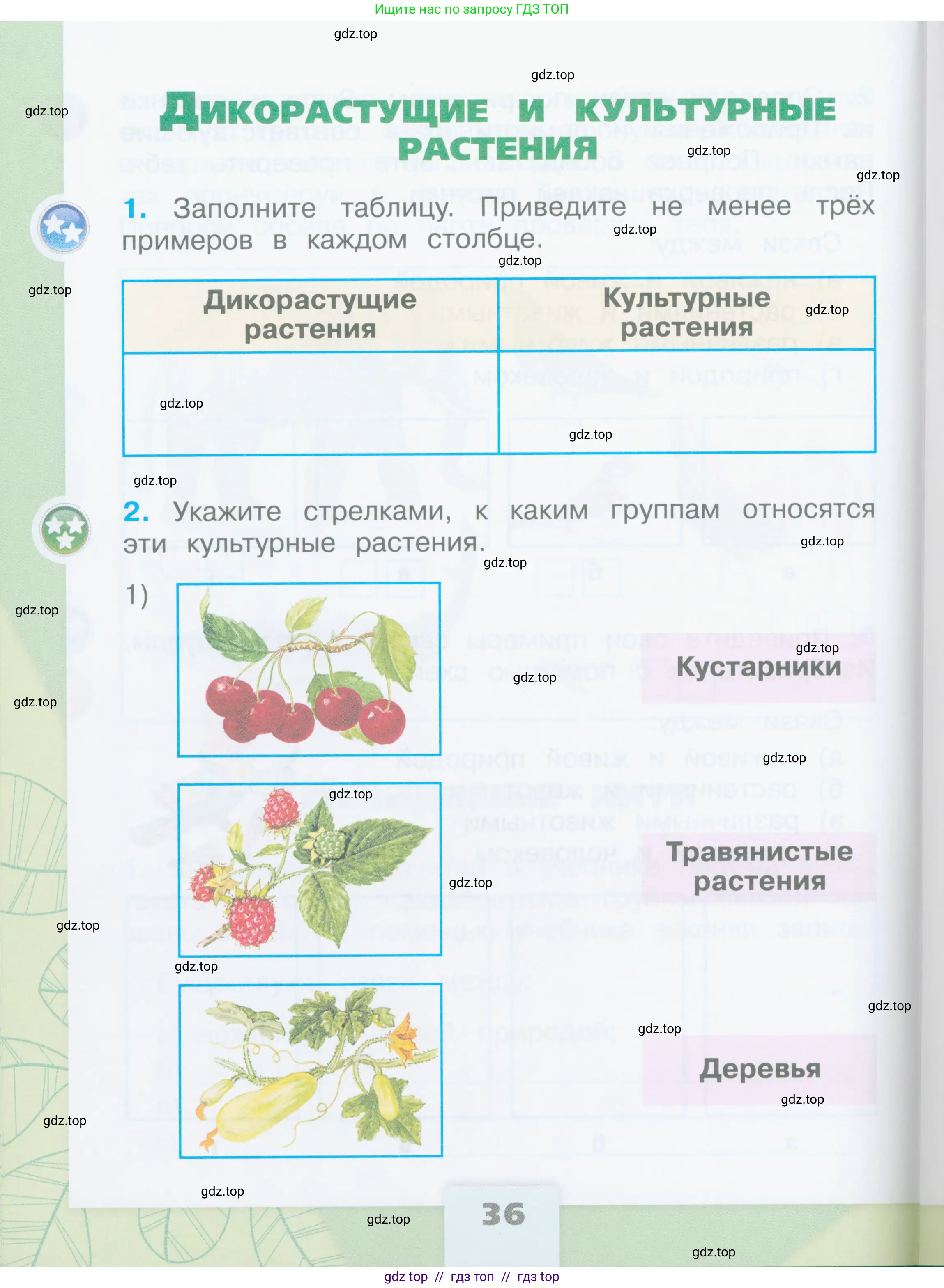 Окружающий мир, 2 класс рабочая тетрадь, автор: Плешаков Андрей Анатольевич, издательство Просвещение, Москва, 2023, белого цвета, Часть 1, страница 36