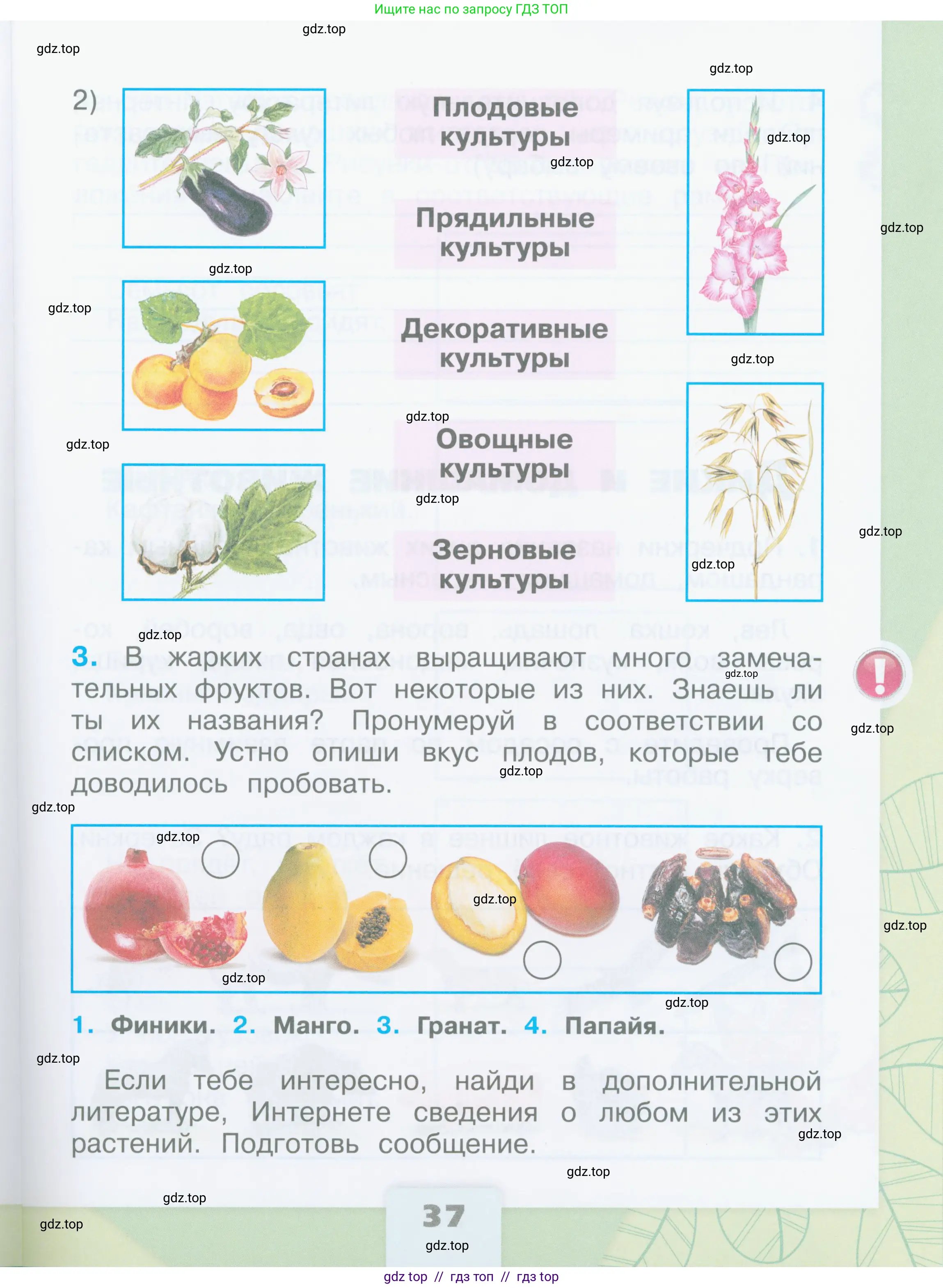 Окружающий мир, 2 класс рабочая тетрадь, автор: Плешаков Андрей Анатольевич, издательство Просвещение, Москва, 2023, белого цвета, страница 37