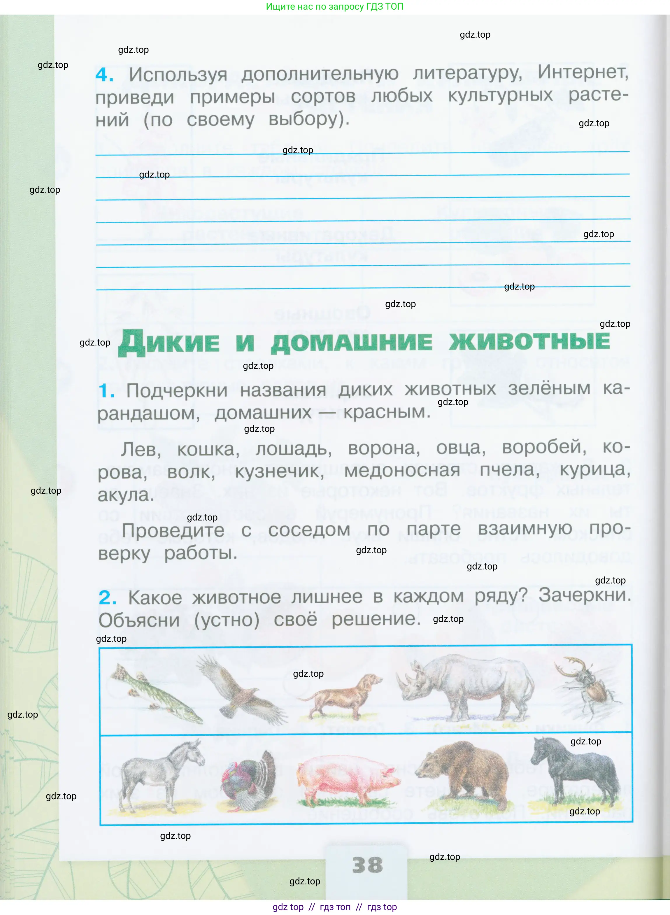 Окружающий мир, 2 класс рабочая тетрадь, автор: Плешаков Андрей Анатольевич, издательство Просвещение, Москва, 2023, белого цвета, Часть 1, страница 38