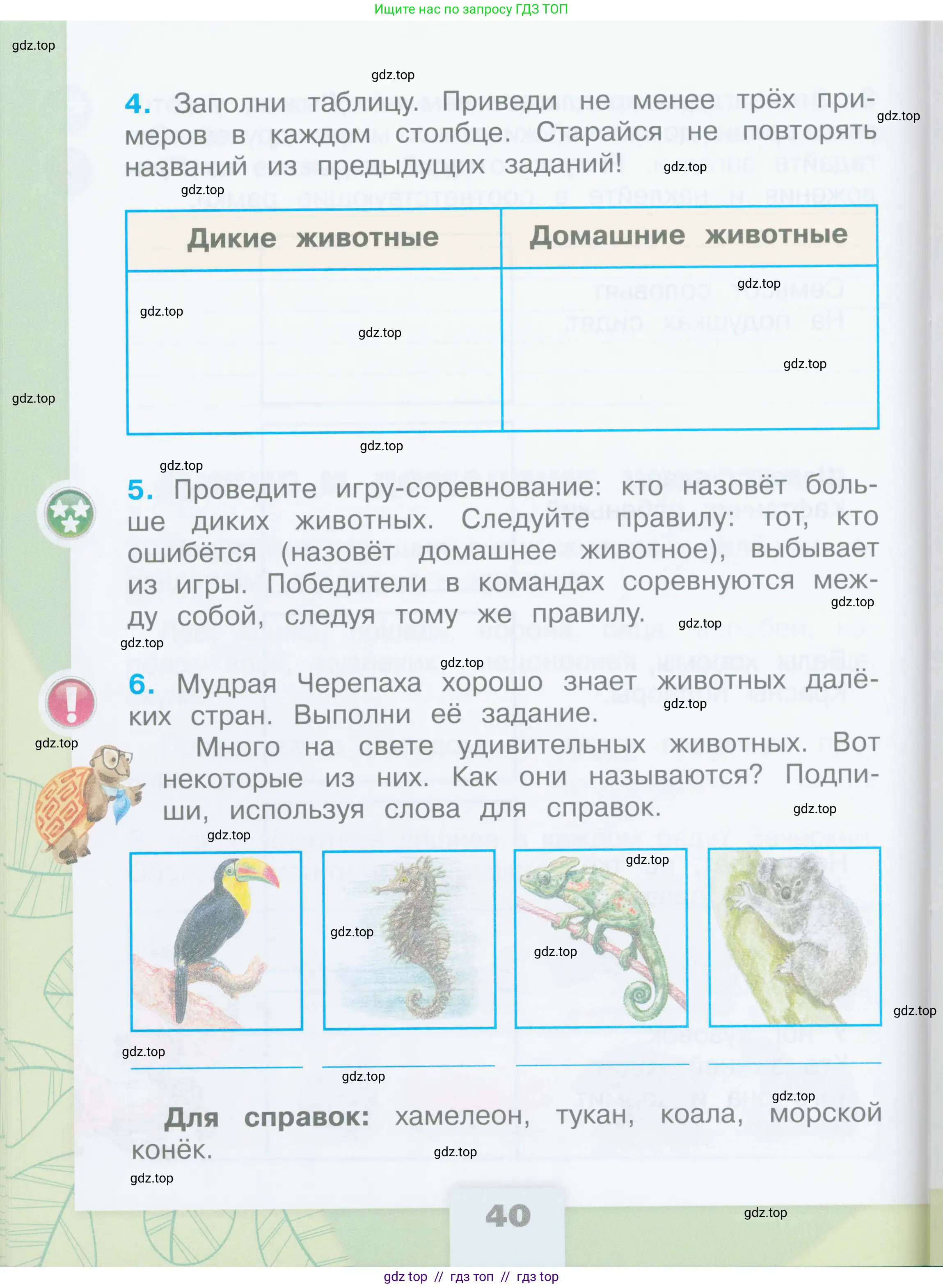 Окружающий мир, 2 класс рабочая тетрадь, автор: Плешаков Андрей Анатольевич, издательство Просвещение, Москва, 2023, белого цвета, страница 40