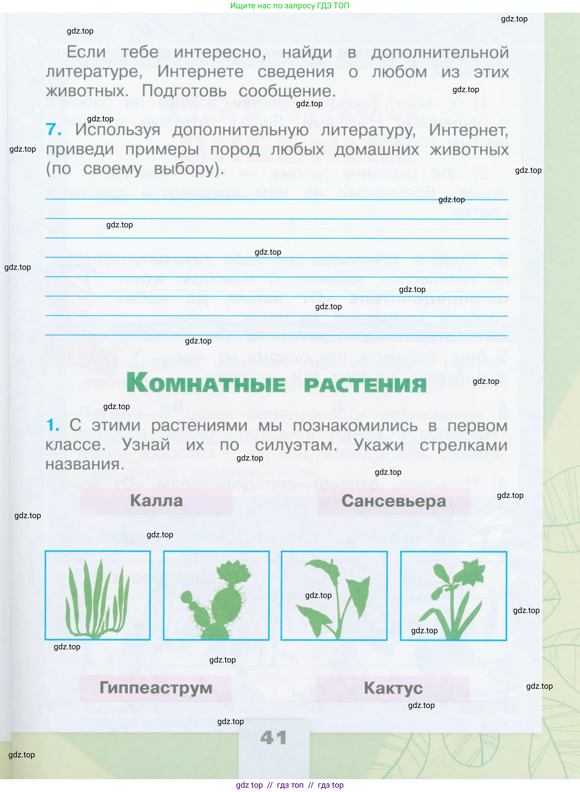 Окружающий мир, 2 класс рабочая тетрадь, автор: Плешаков Андрей Анатольевич, издательство Просвещение, Москва, 2023, белого цвета, Часть 1, страница 41