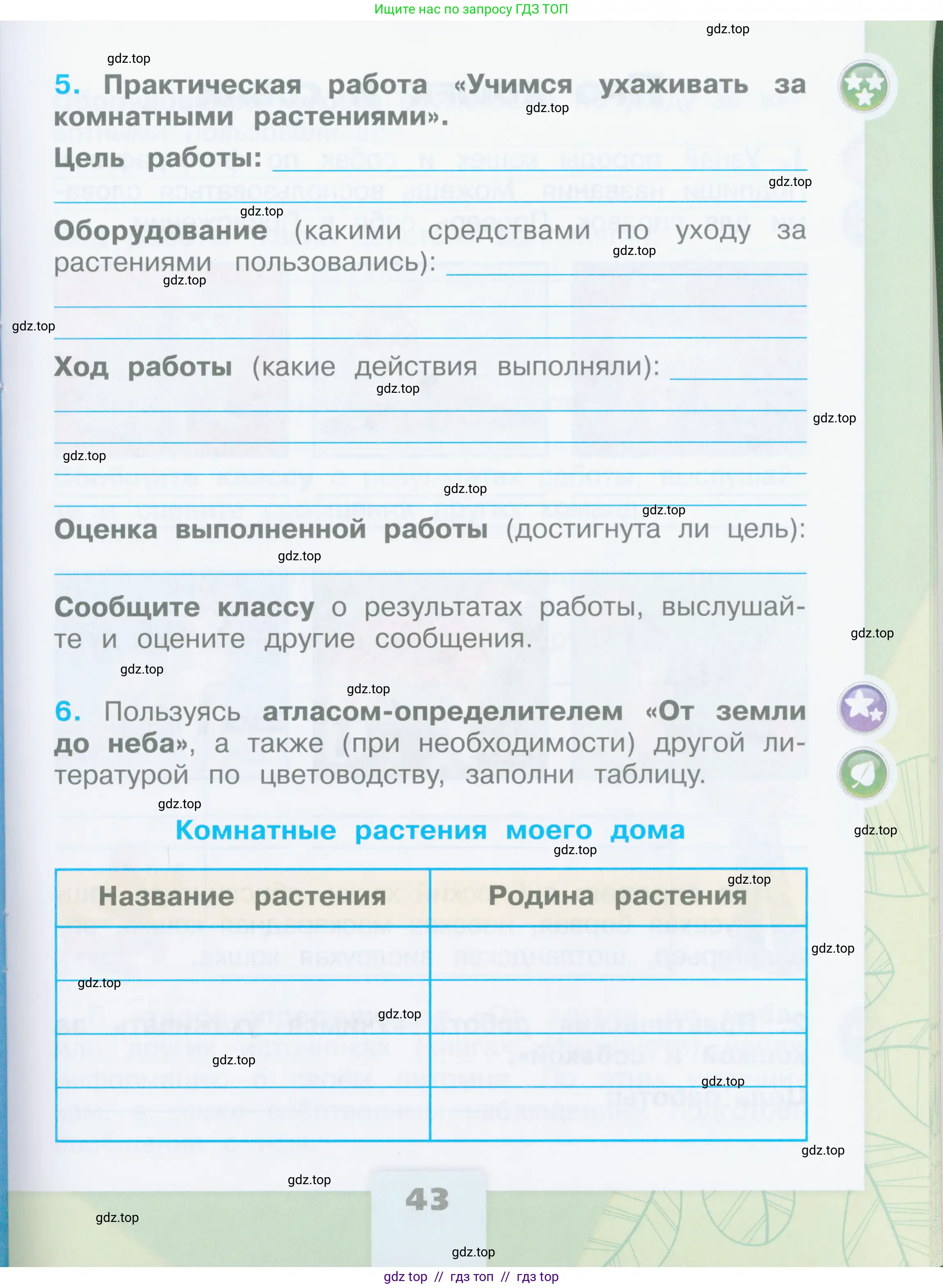 Окружающий мир, 2 класс рабочая тетрадь, автор: Плешаков Андрей Анатольевич, издательство Просвещение, Москва, 2023, белого цвета, страница 43