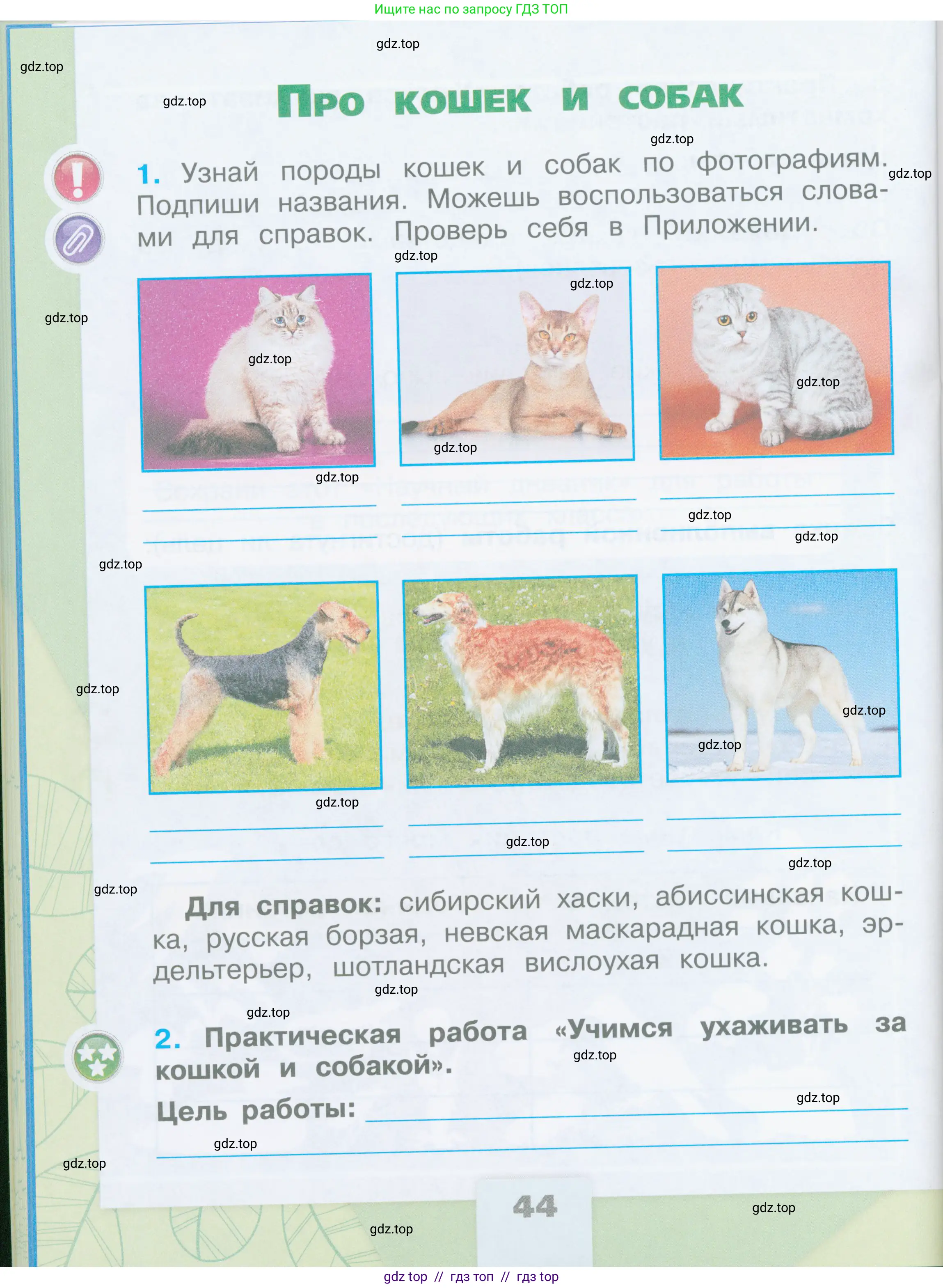 Окружающий мир, 2 класс рабочая тетрадь, автор: Плешаков Андрей Анатольевич, издательство Просвещение, Москва, 2023, белого цвета, Часть 1, страница 44