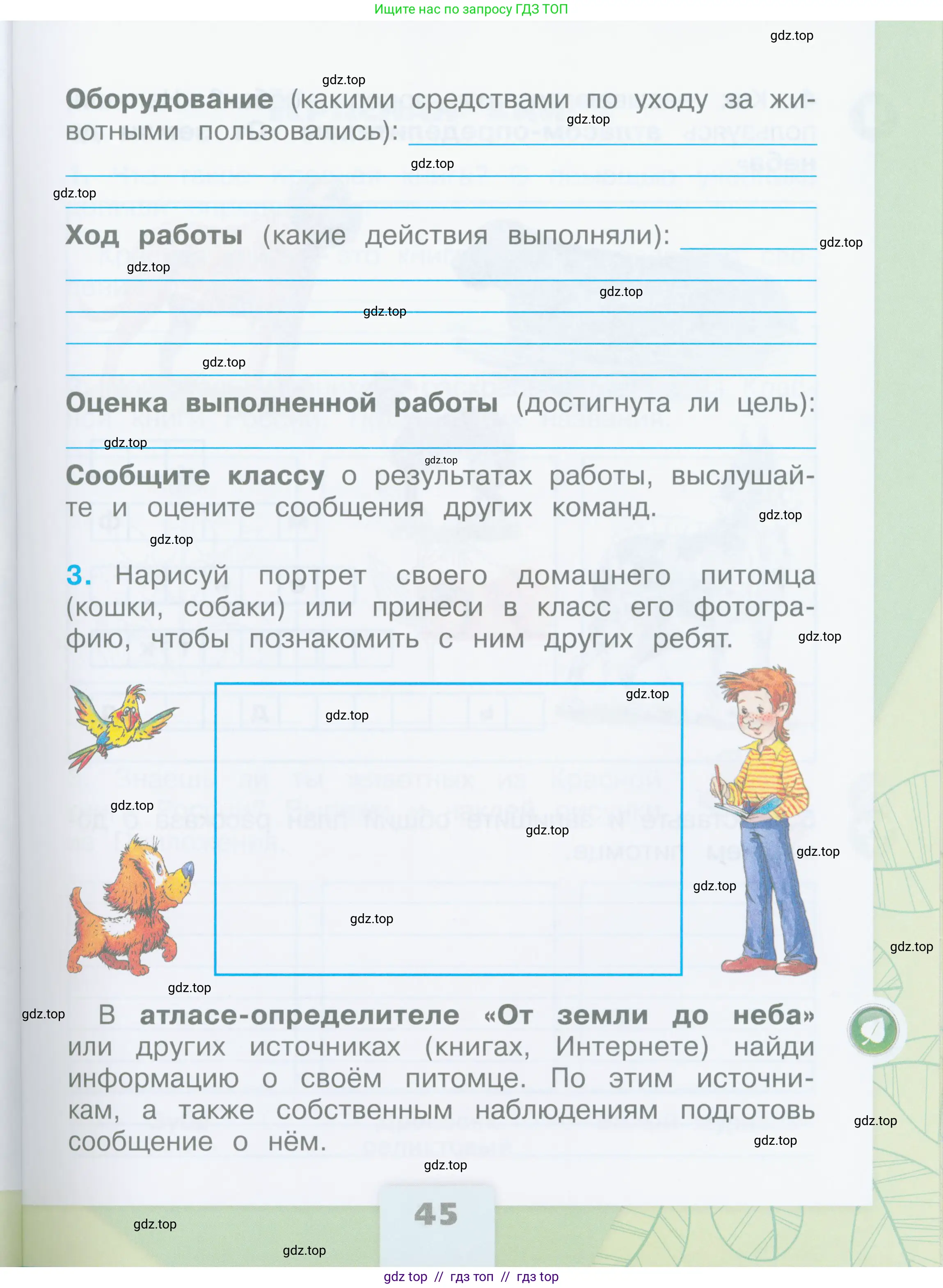 Окружающий мир, 2 класс рабочая тетрадь, автор: Плешаков Андрей Анатольевич, издательство Просвещение, Москва, 2023, белого цвета, страница 45