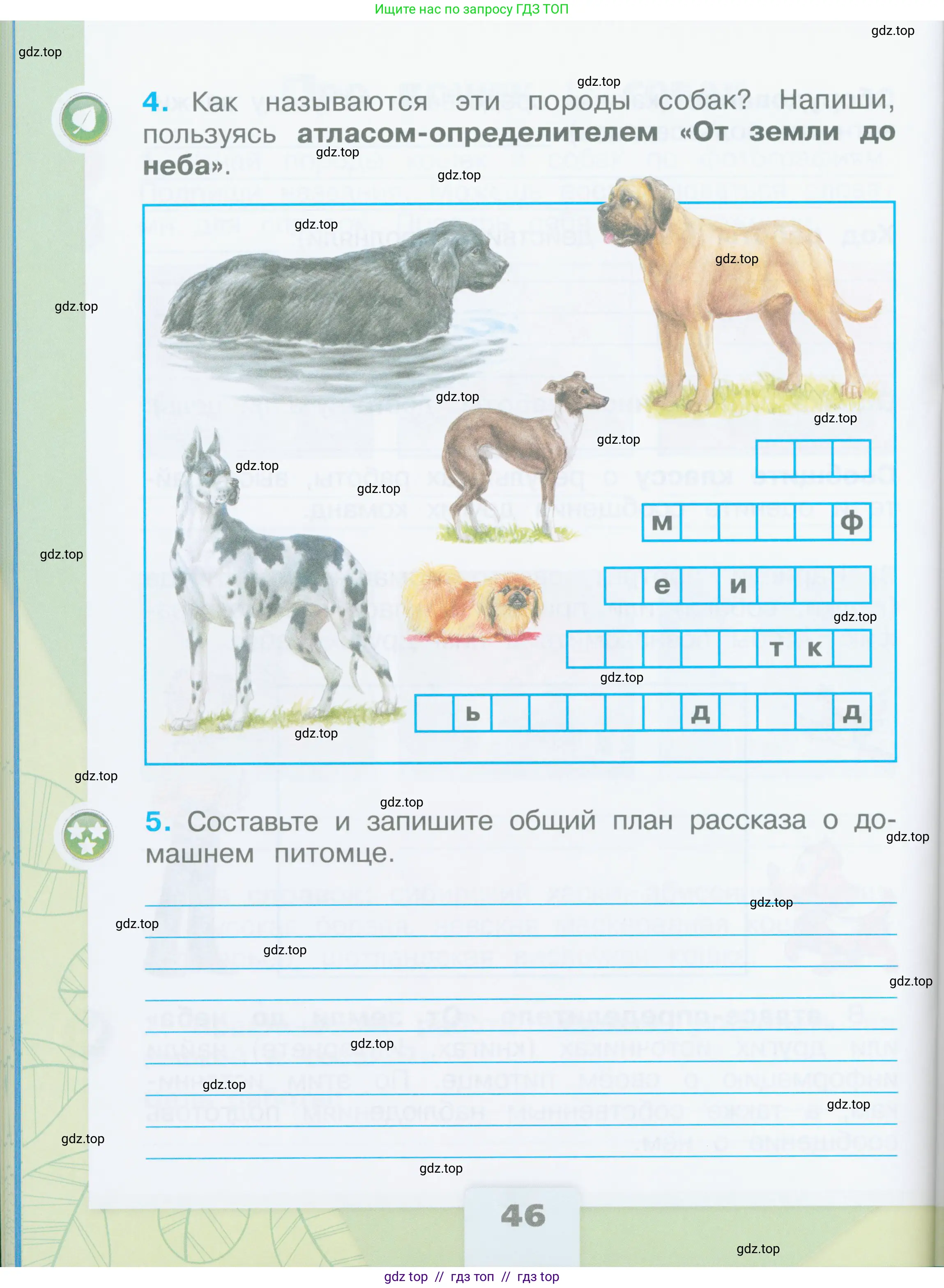 Окружающий мир, 2 класс рабочая тетрадь, автор: Плешаков Андрей Анатольевич, издательство Просвещение, Москва, 2023, белого цвета, страница 46