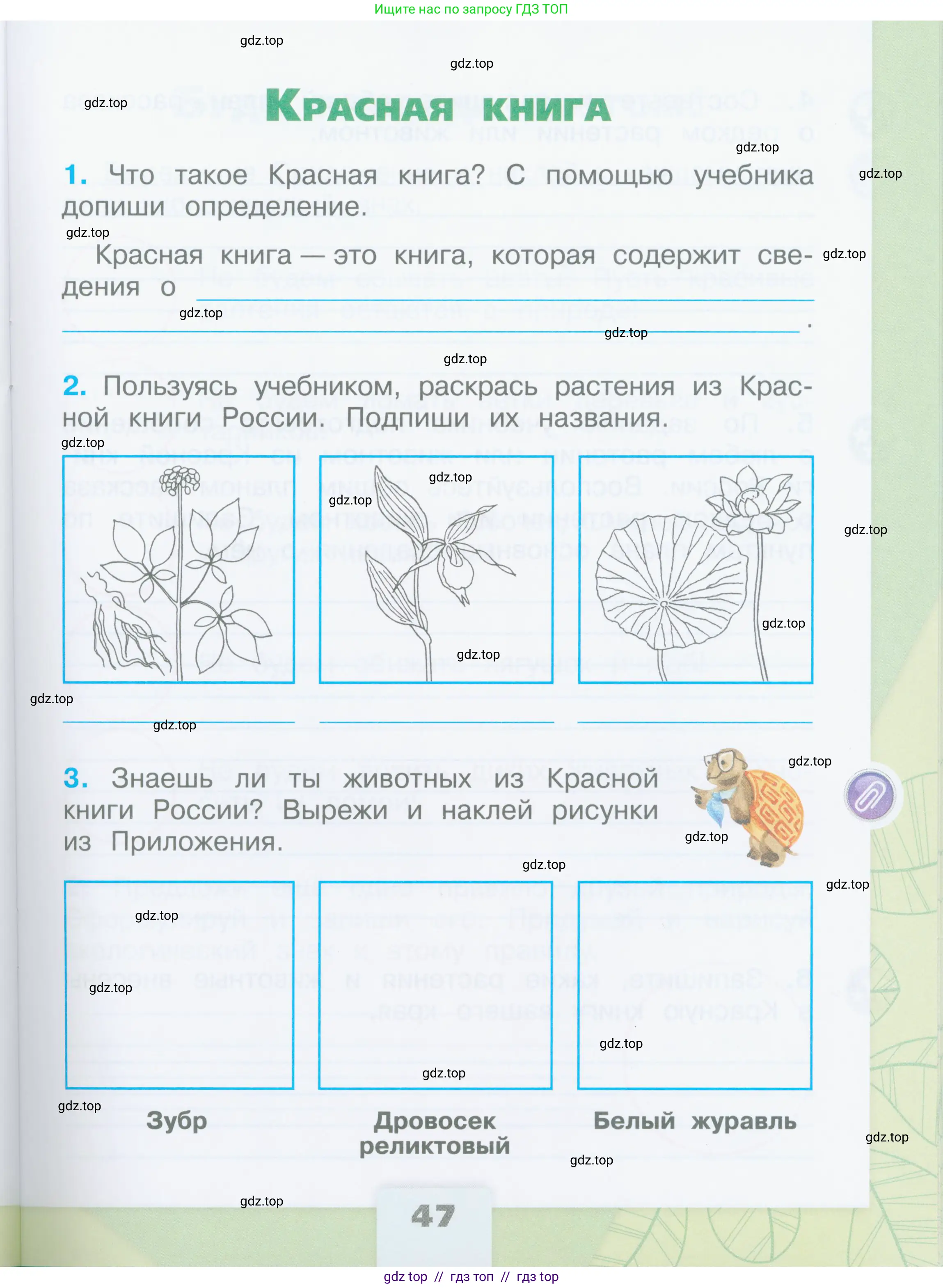 Окружающий мир, 2 класс рабочая тетрадь, автор: Плешаков Андрей Анатольевич, издательство Просвещение, Москва, 2023, белого цвета, Часть 1, страница 47