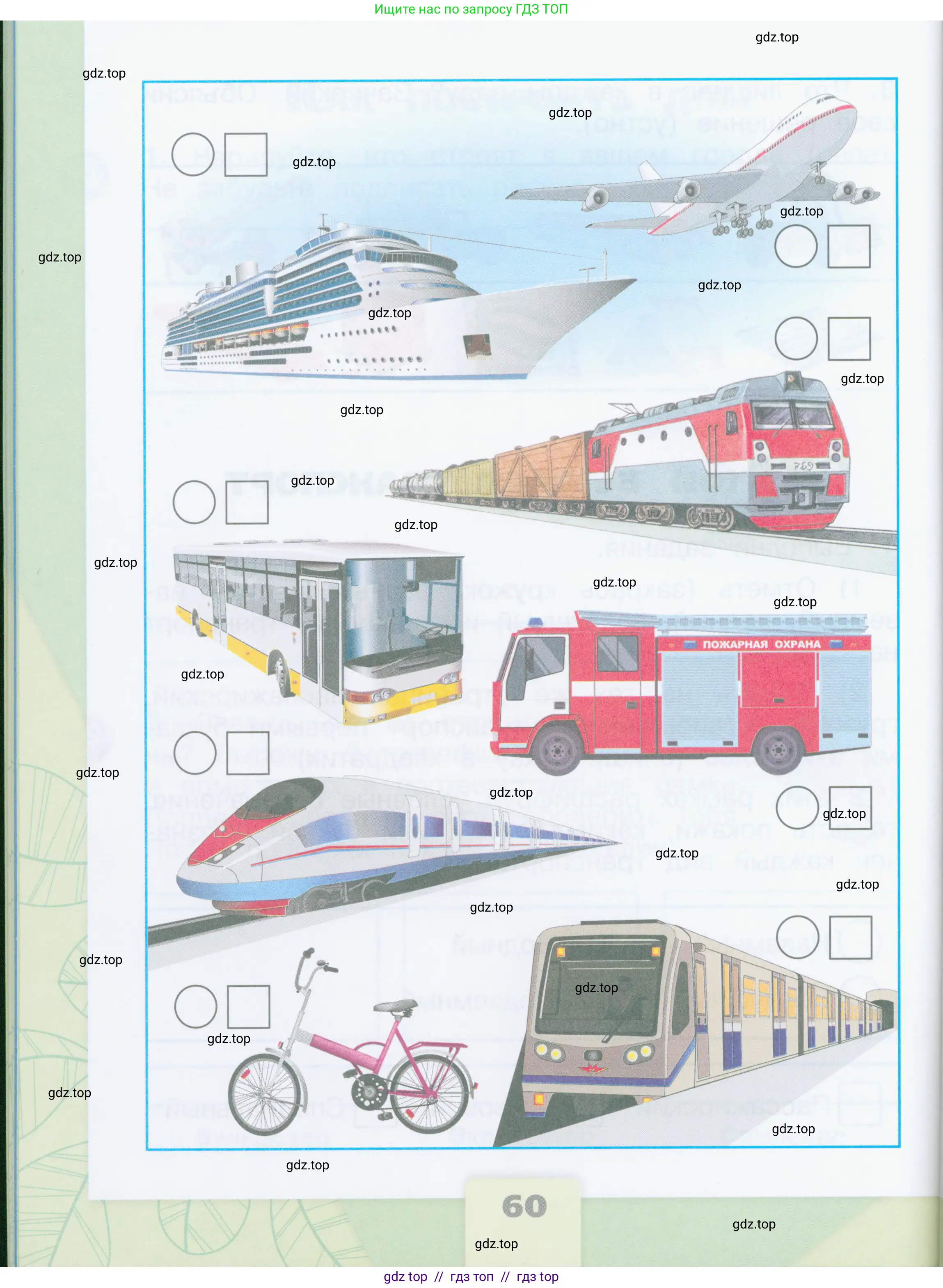 Окружающий мир, 2 класс рабочая тетрадь, автор: Плешаков Андрей Анатольевич, издательство Просвещение, Москва, 2023, белого цвета, страница 60