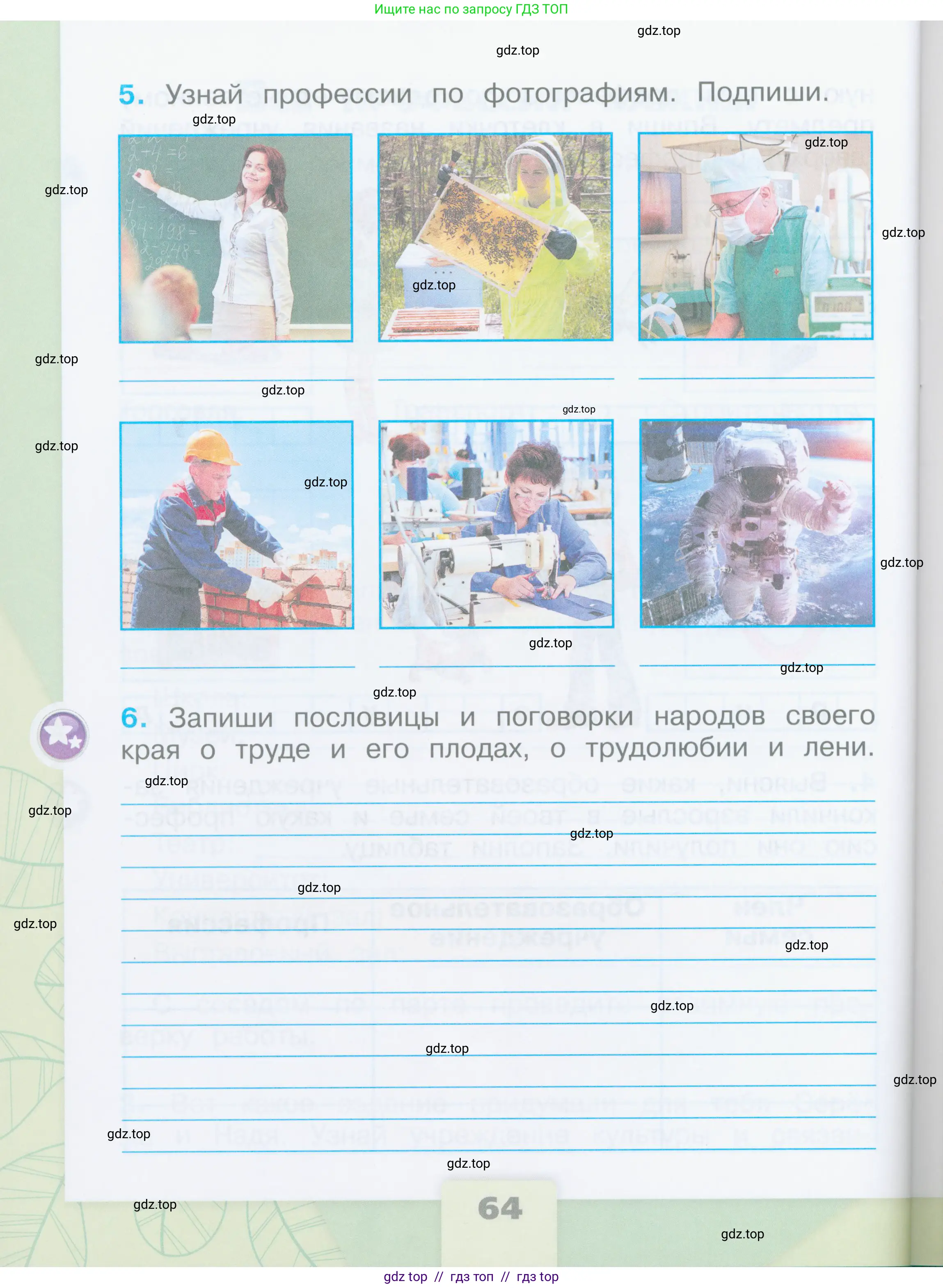 Окружающий мир, 2 класс рабочая тетрадь, автор: Плешаков Андрей Анатольевич, издательство Просвещение, Москва, 2023, белого цвета, страница 64