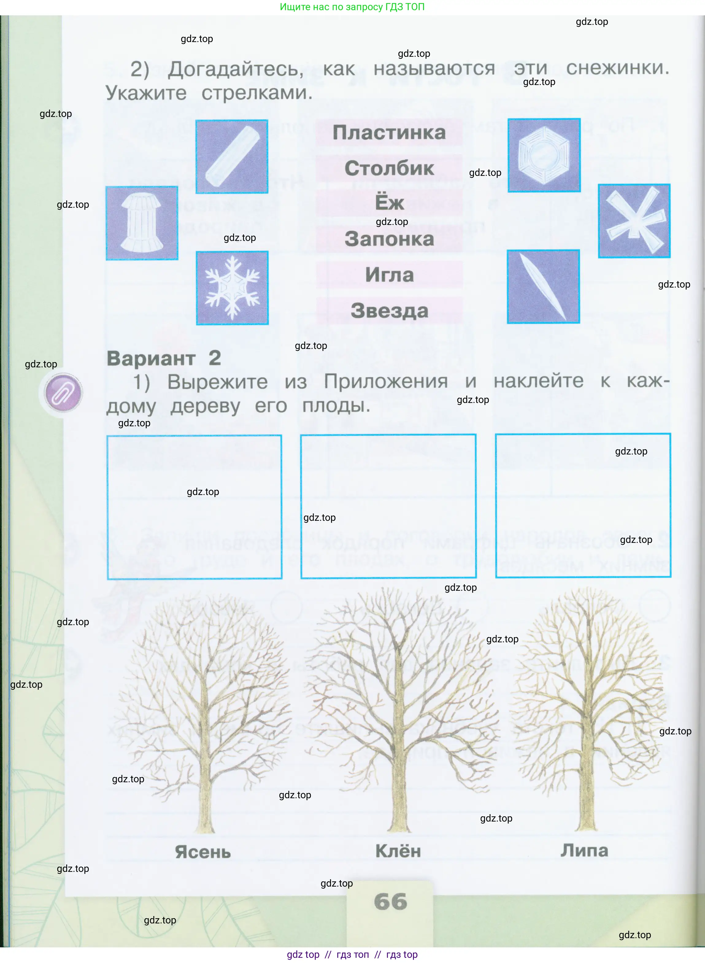 Окружающий мир, 2 класс рабочая тетрадь, автор: Плешаков Андрей Анатольевич, издательство Просвещение, Москва, 2023, белого цвета, страница 66