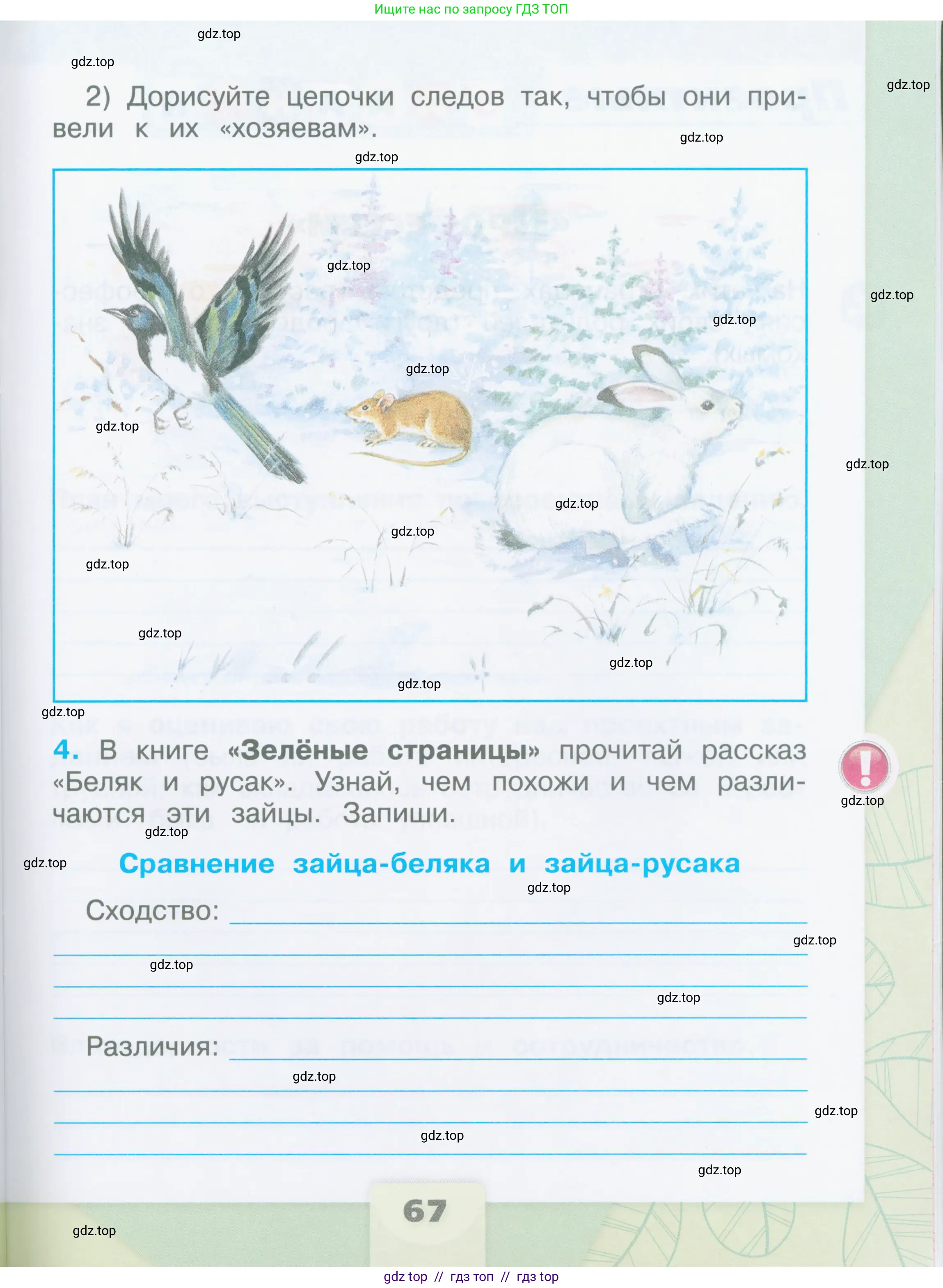 Окружающий мир, 2 класс рабочая тетрадь, автор: Плешаков Андрей Анатольевич, издательство Просвещение, Москва, 2023, белого цвета, страница 67