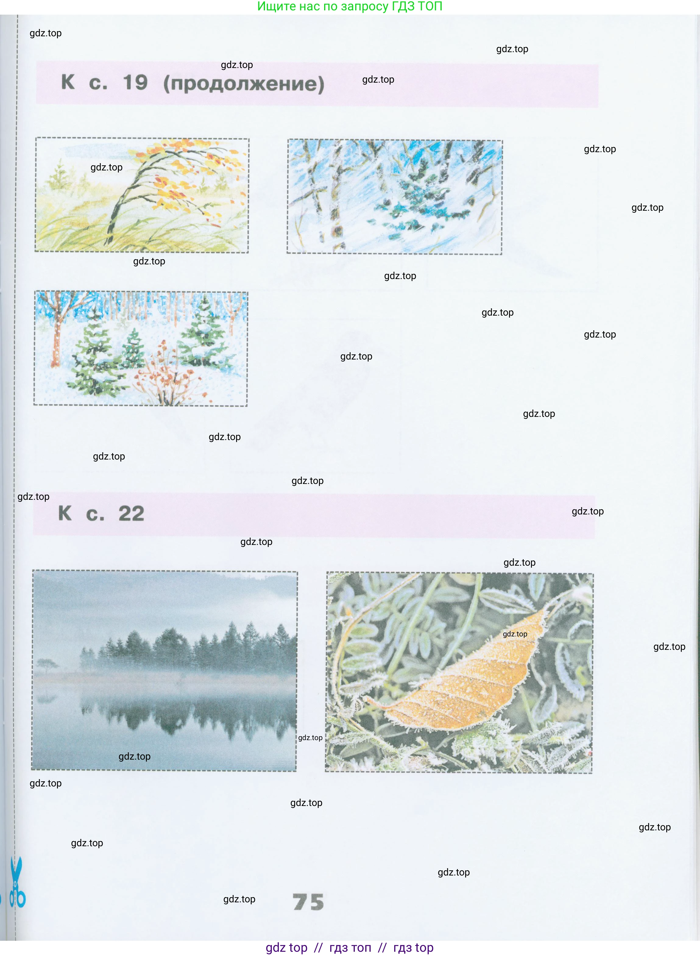 Окружающий мир, 2 класс рабочая тетрадь, автор: Плешаков Андрей Анатольевич, издательство Просвещение, Москва, 2023, белого цвета, страница 75