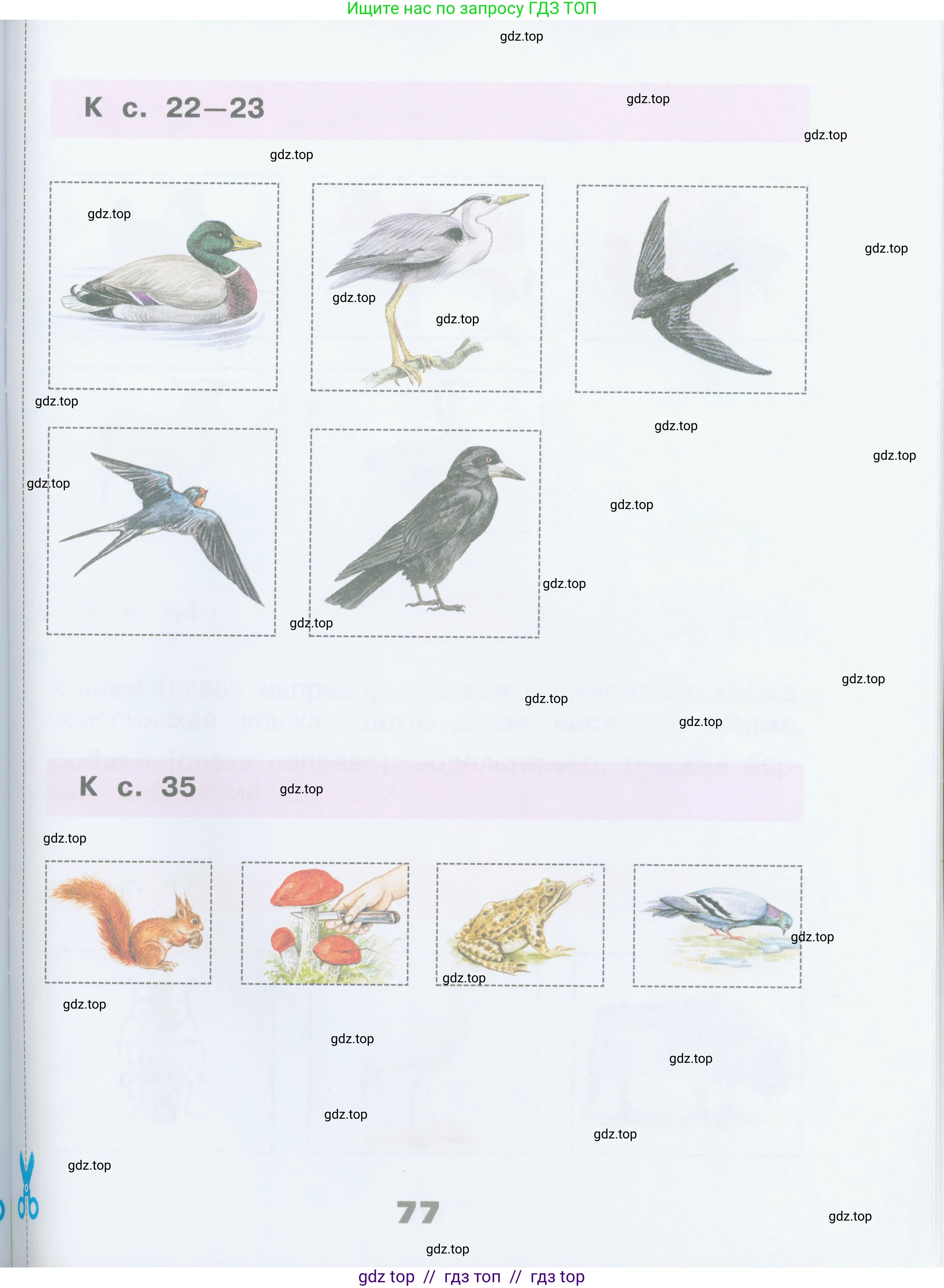 Окружающий мир, 2 класс рабочая тетрадь, автор: Плешаков Андрей Анатольевич, издательство Просвещение, Москва, 2023, белого цвета, страница 77