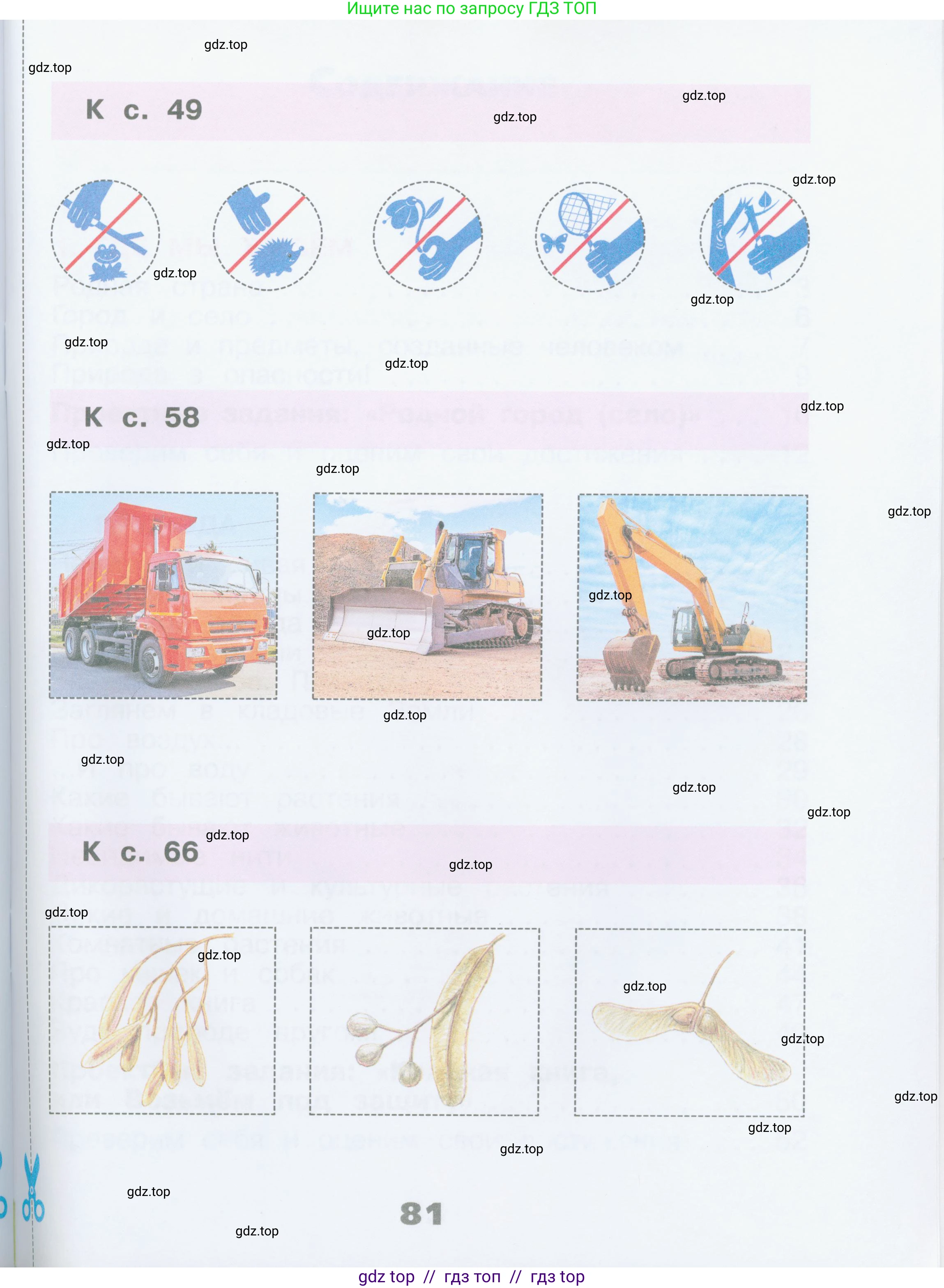 Окружающий мир, 2 класс рабочая тетрадь, автор: Плешаков Андрей Анатольевич, издательство Просвещение, Москва, 2023, белого цвета, страница 81