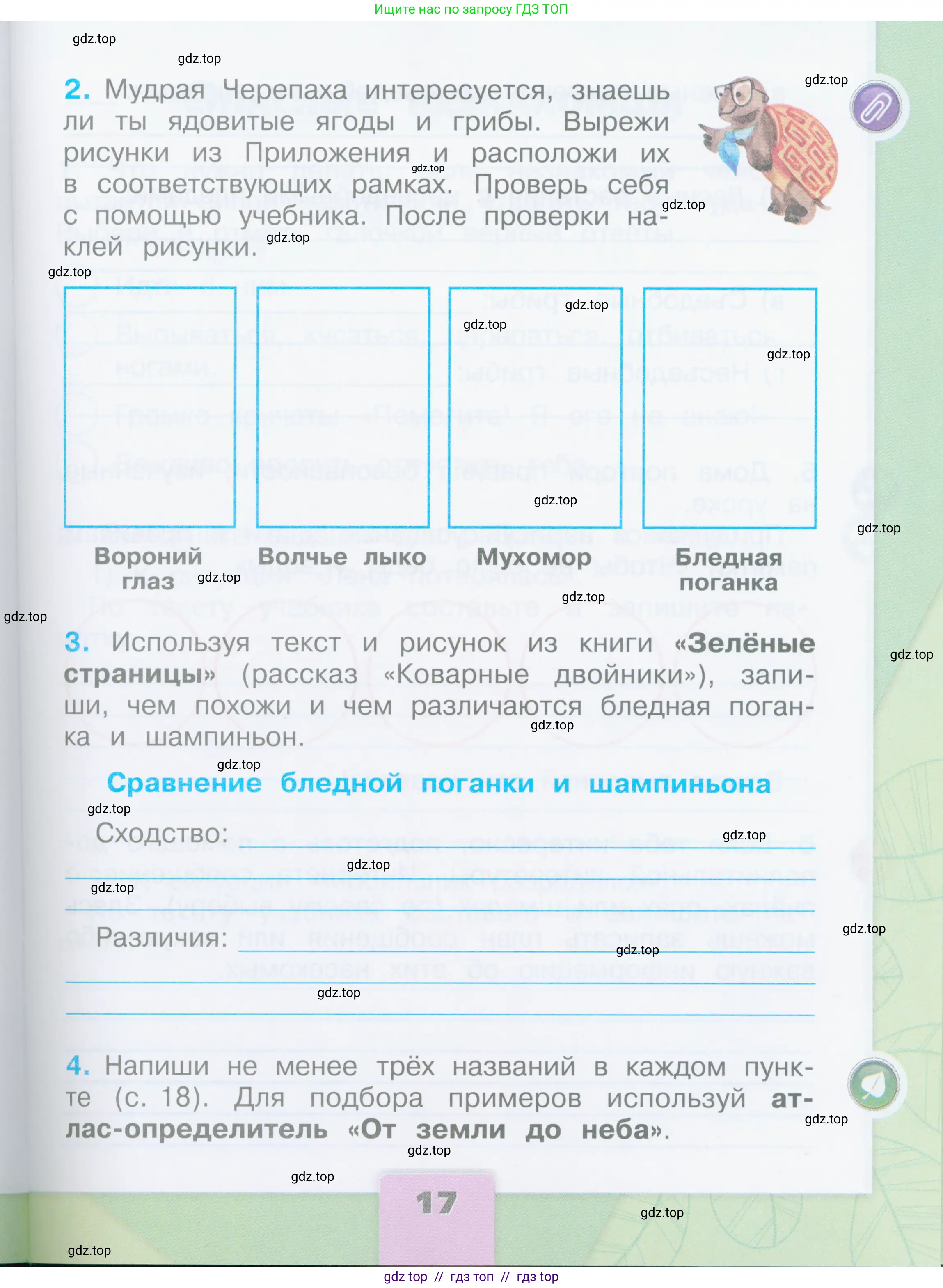 Окружающий мир, 2 класс рабочая тетрадь, автор: Плешаков Андрей Анатольевич, издательство Просвещение, Москва, 2023, белого цвета, страница 17