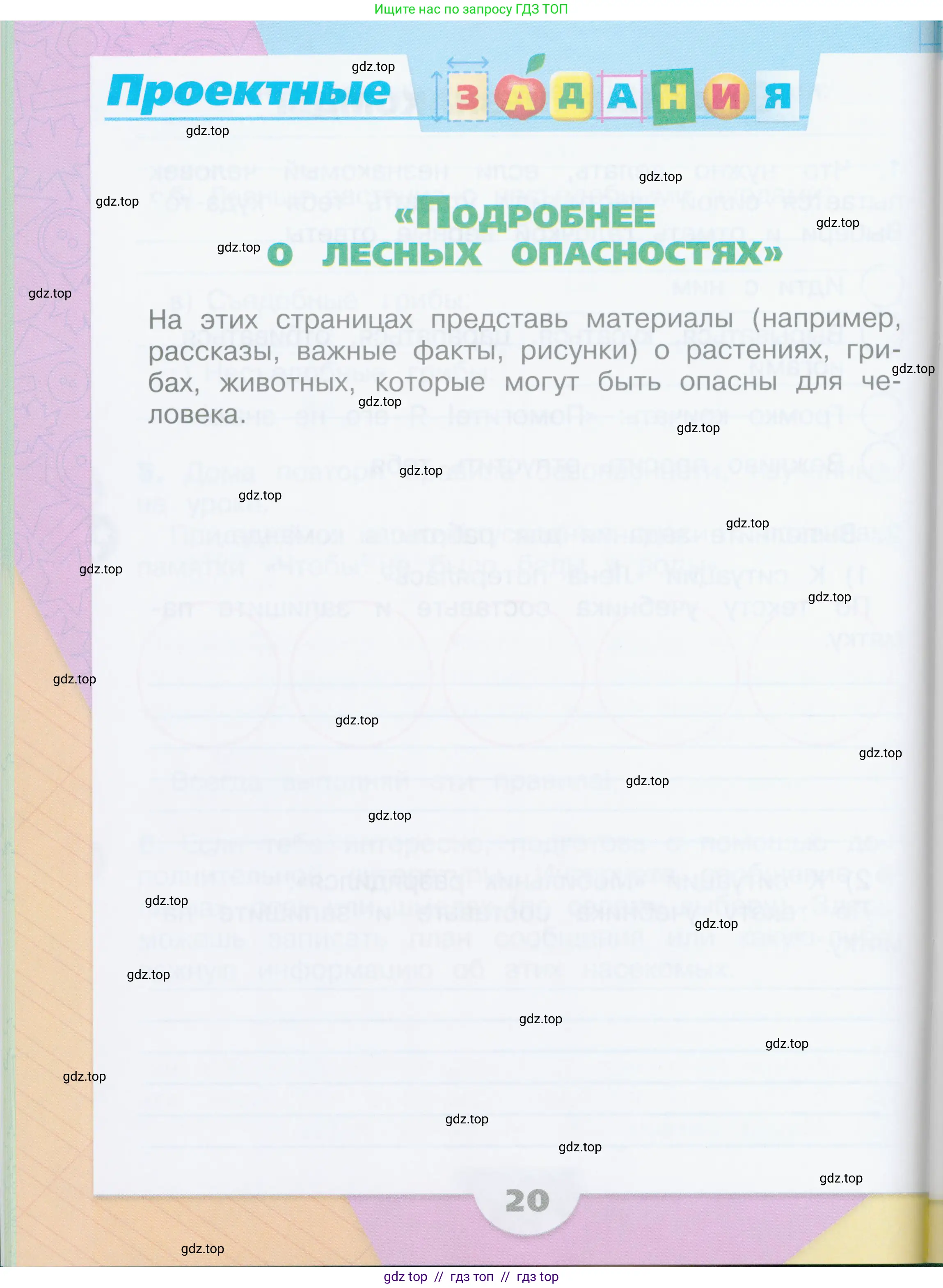 Окружающий мир, 2 класс рабочая тетрадь, автор: Плешаков Андрей Анатольевич, издательство Просвещение, Москва, 2023, белого цвета, Часть 2, страница 20
