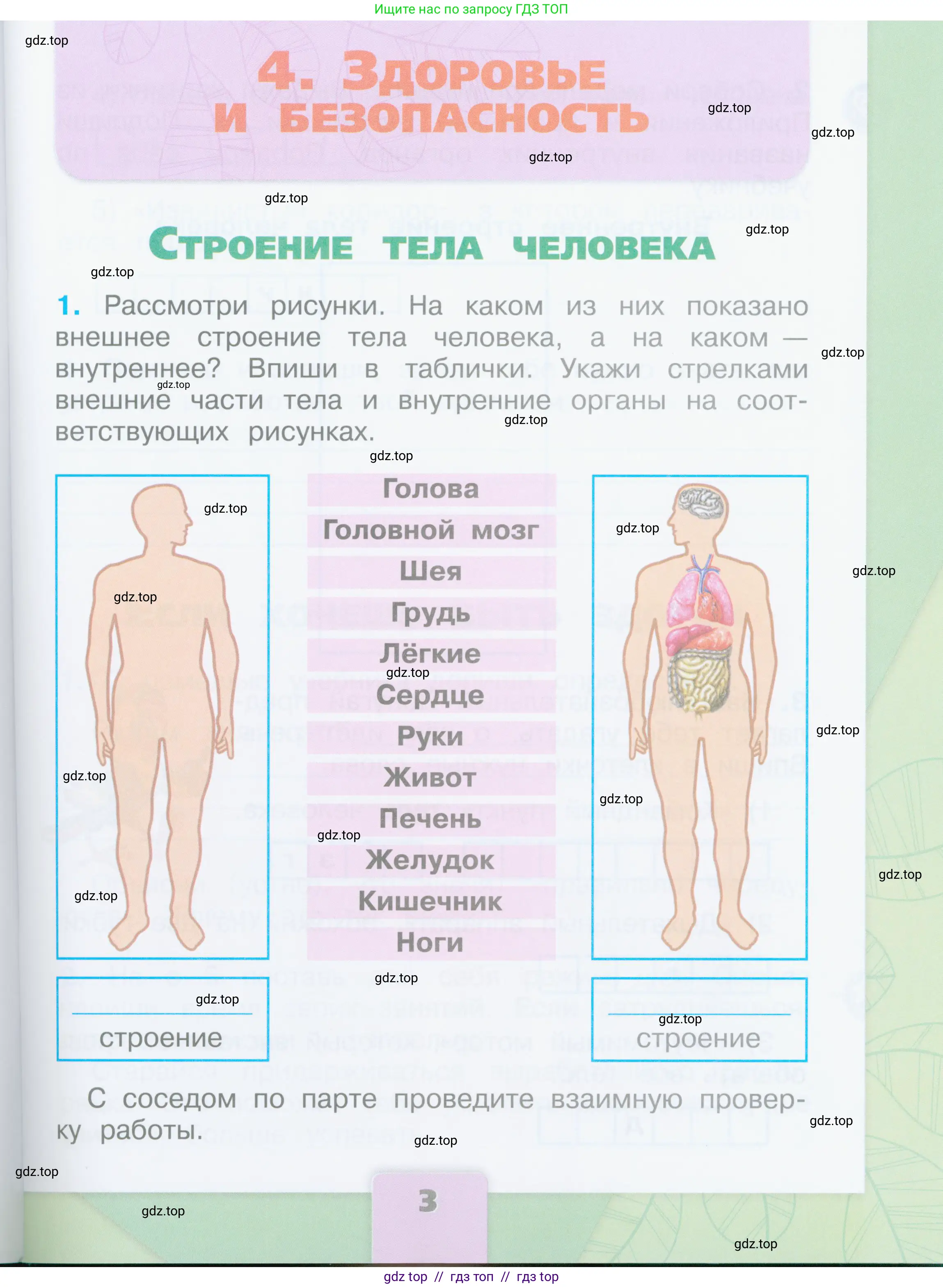 Окружающий мир, 2 класс рабочая тетрадь, автор: Плешаков Андрей Анатольевич, издательство Просвещение, Москва, 2023, белого цвета, Часть 2, страница 3