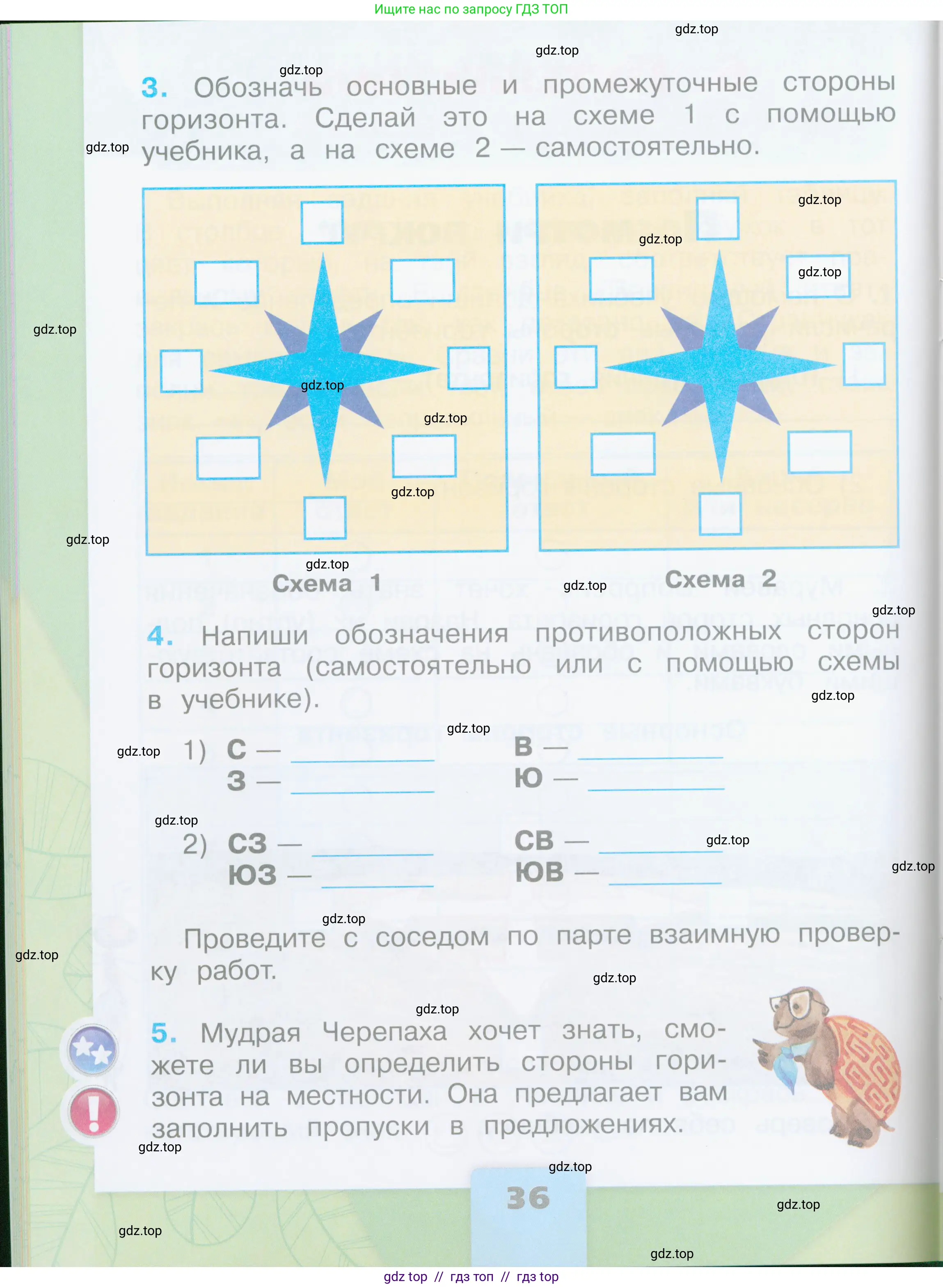 Окружающий мир, 2 класс рабочая тетрадь, автор: Плешаков Андрей Анатольевич, издательство Просвещение, Москва, 2023, белого цвета, страница 36