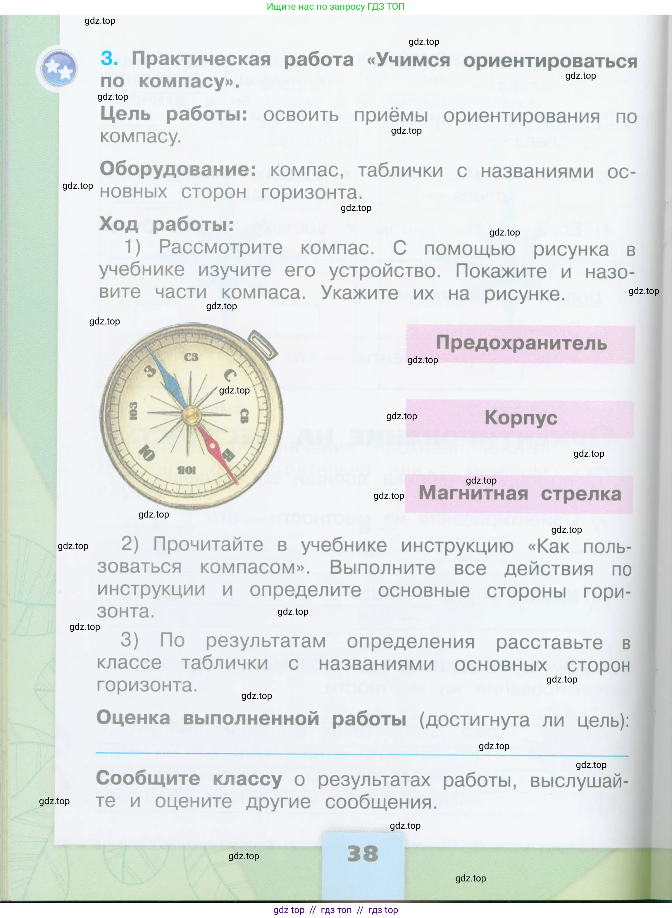Окружающий мир, 2 класс рабочая тетрадь, автор: Плешаков Андрей Анатольевич, издательство Просвещение, Москва, 2023, белого цвета, страница 38