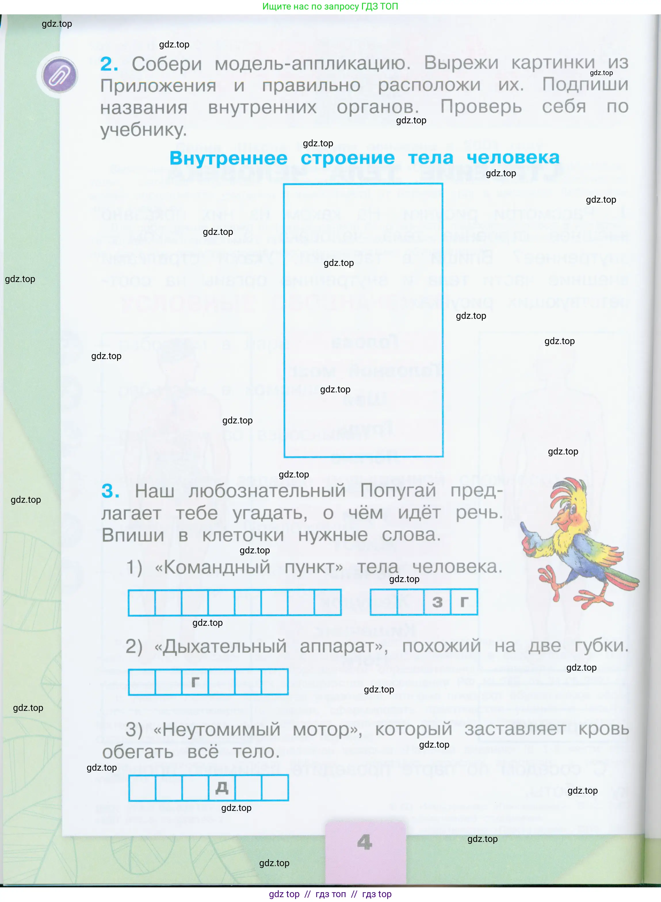 Окружающий мир, 2 класс рабочая тетрадь, автор: Плешаков Андрей Анатольевич, издательство Просвещение, Москва, 2023, белого цвета, страница 4