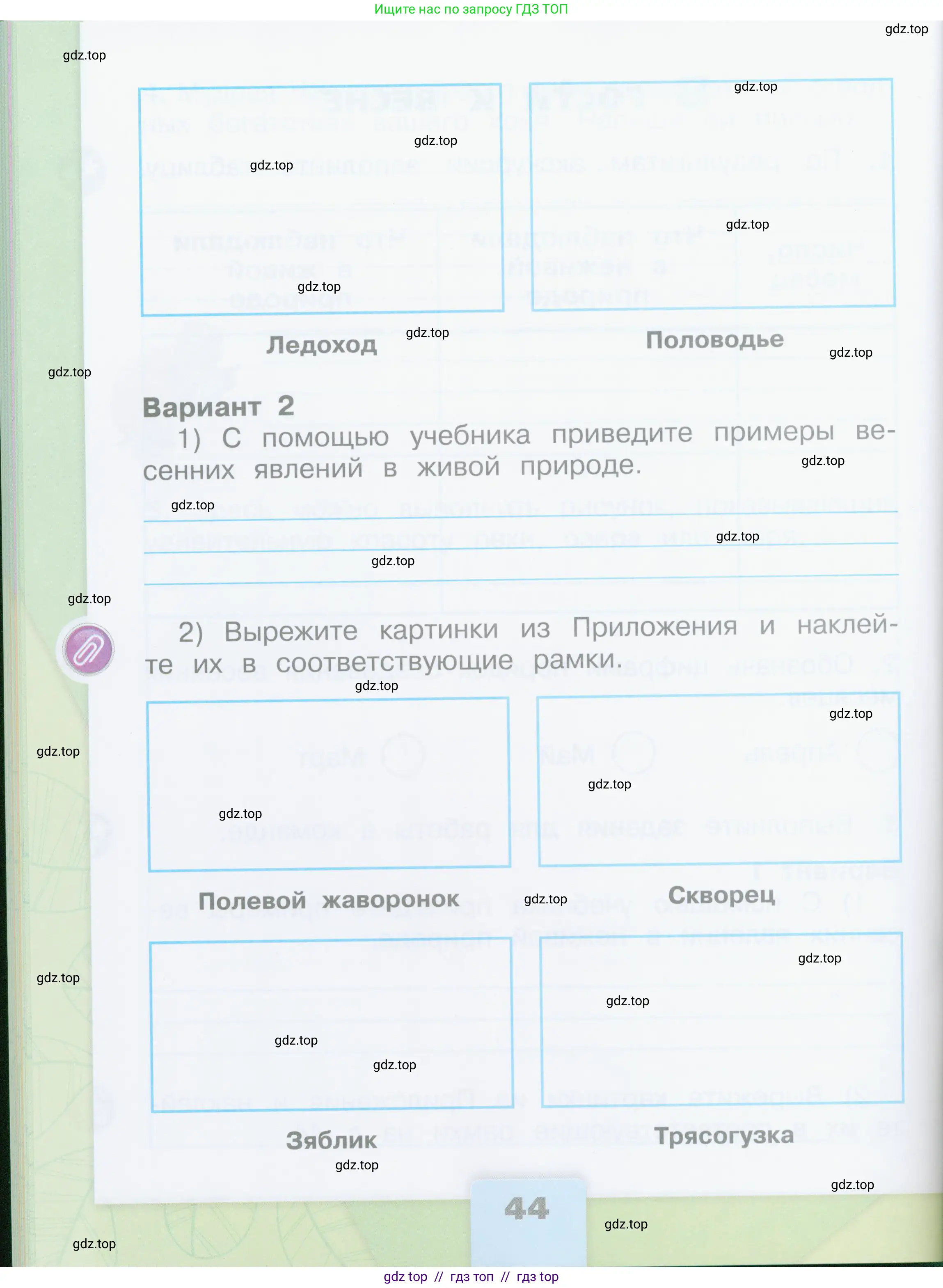 Окружающий мир, 2 класс рабочая тетрадь, автор: Плешаков Андрей Анатольевич, издательство Просвещение, Москва, 2023, белого цвета, страница 44
