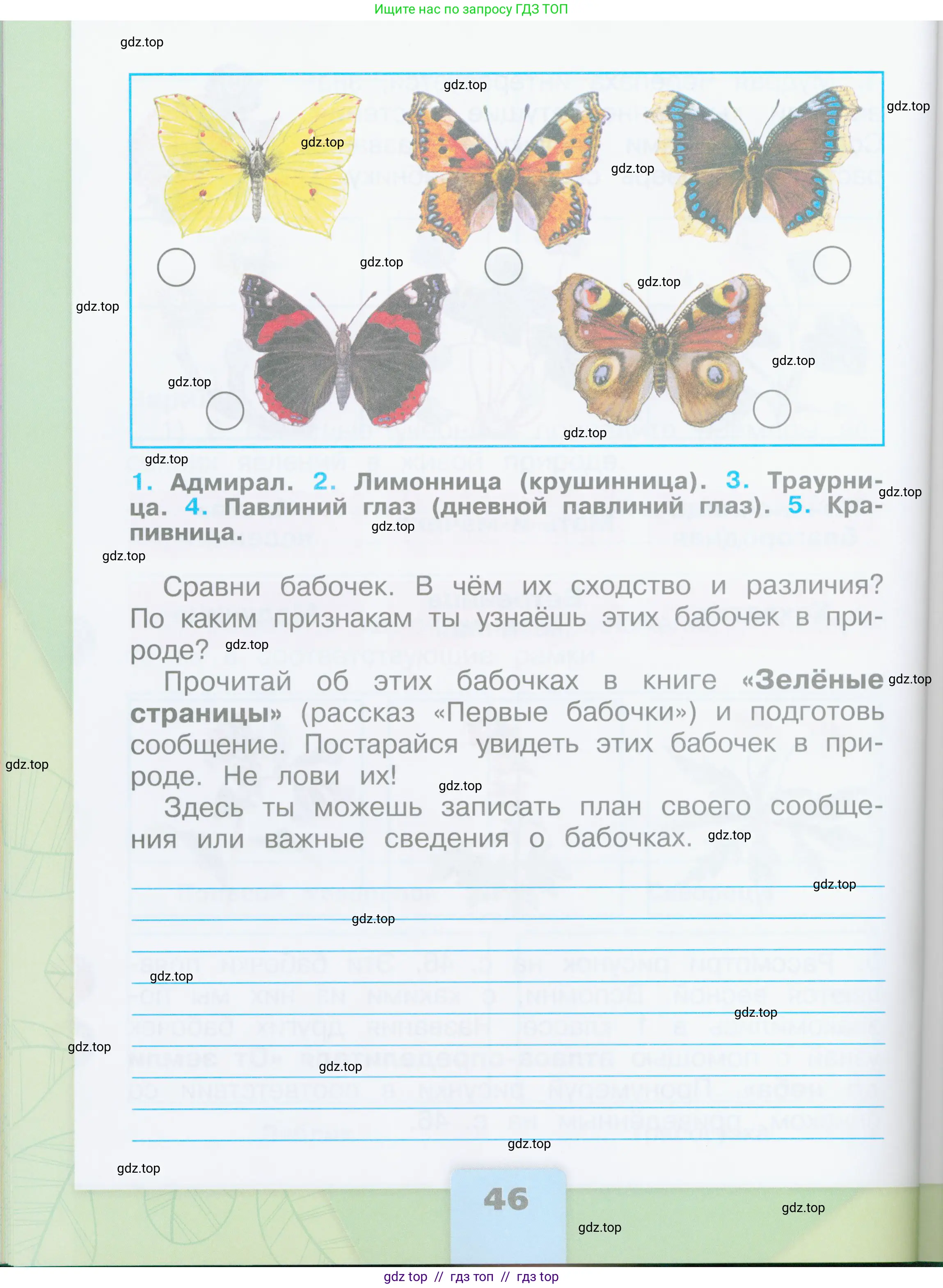 Окружающий мир, 2 класс рабочая тетрадь, автор: Плешаков Андрей Анатольевич, издательство Просвещение, Москва, 2023, белого цвета, страница 46
