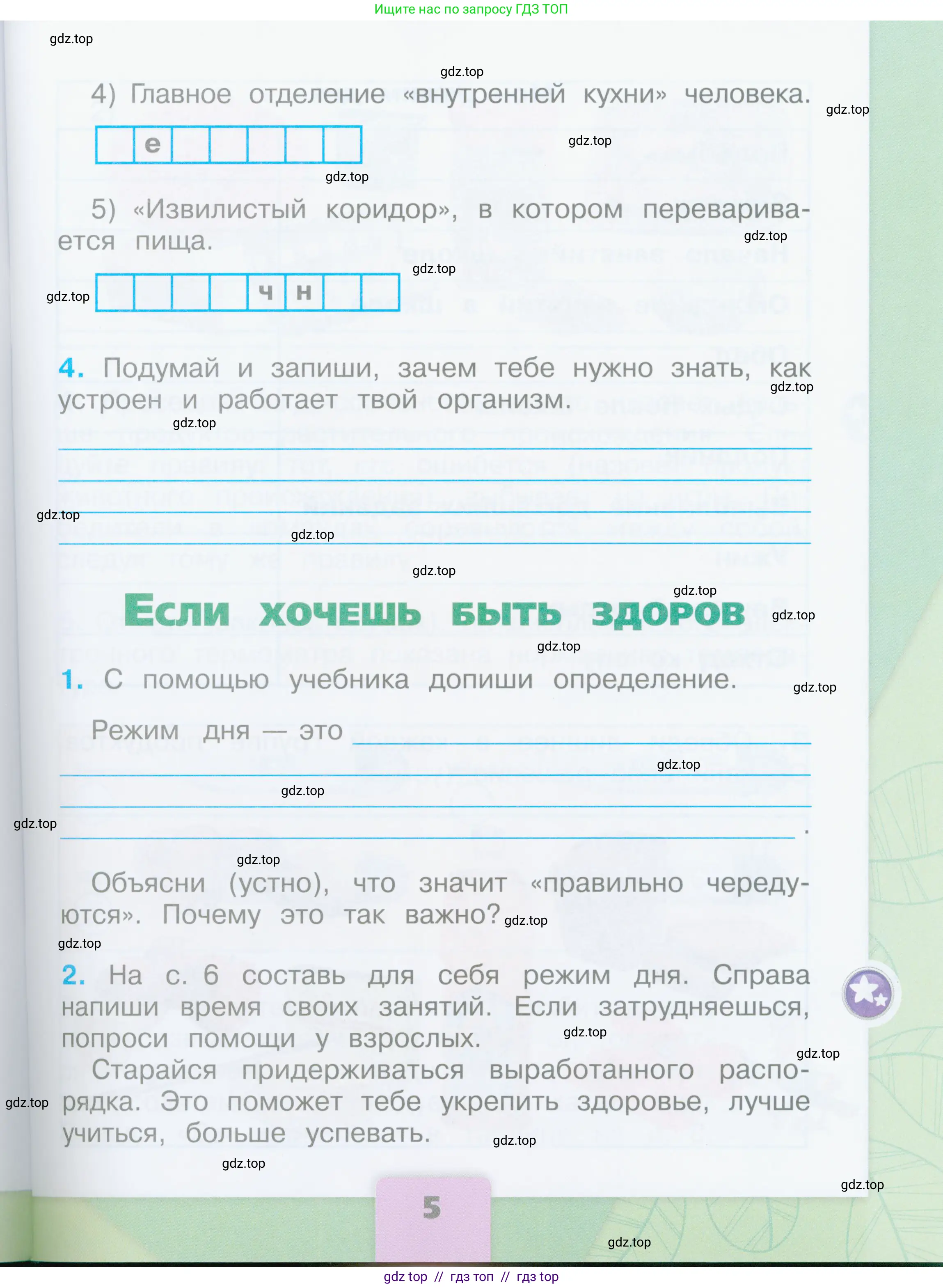 Окружающий мир, 2 класс рабочая тетрадь, автор: Плешаков Андрей Анатольевич, издательство Просвещение, Москва, 2023, белого цвета, Часть 2, страница 5