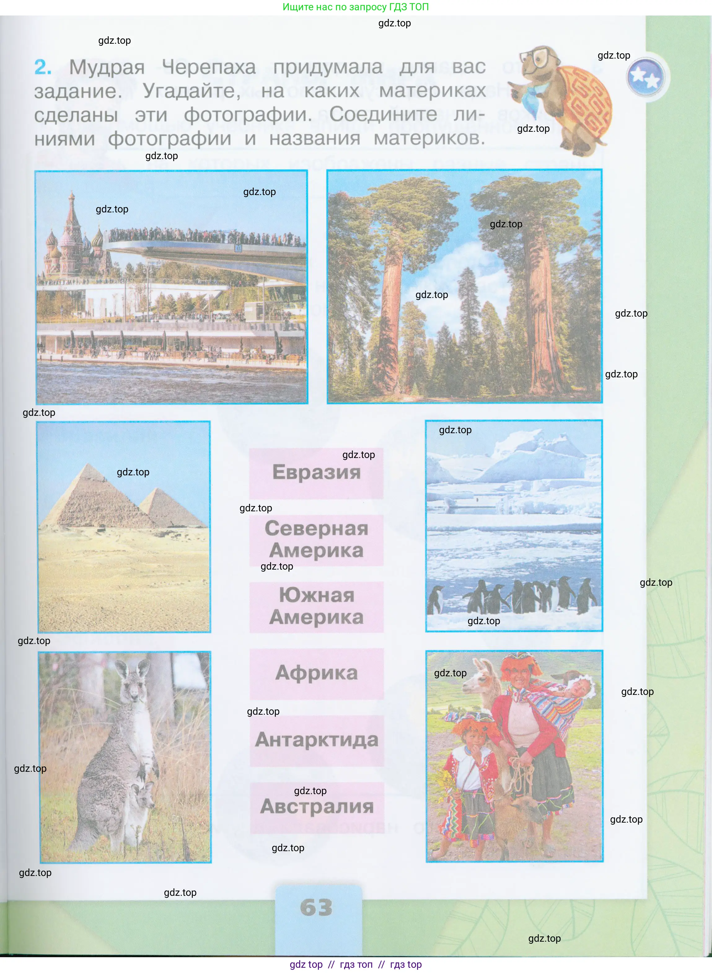 Окружающий мир, 2 класс рабочая тетрадь, автор: Плешаков Андрей Анатольевич, издательство Просвещение, Москва, 2023, белого цвета, страница 63