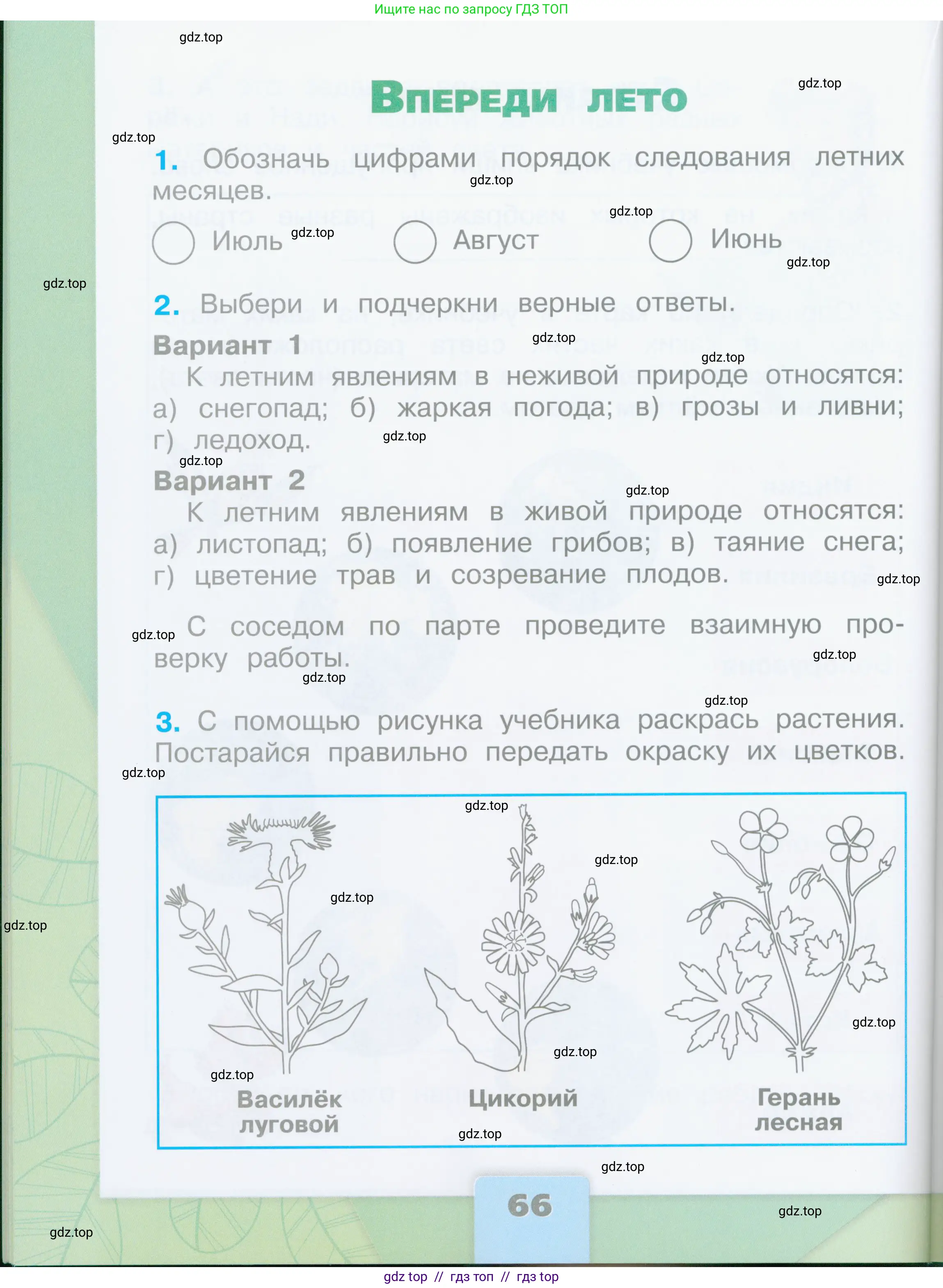 Окружающий мир, 2 класс рабочая тетрадь, автор: Плешаков Андрей Анатольевич, издательство Просвещение, Москва, 2023, белого цвета, Часть 2, страница 66