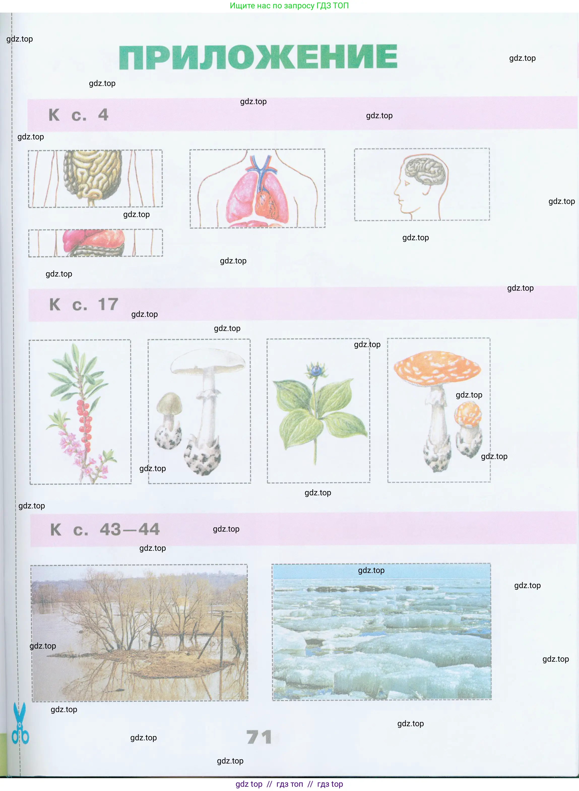 Окружающий мир, 2 класс рабочая тетрадь, автор: Плешаков Андрей Анатольевич, издательство Просвещение, Москва, 2023, белого цвета, страница 71