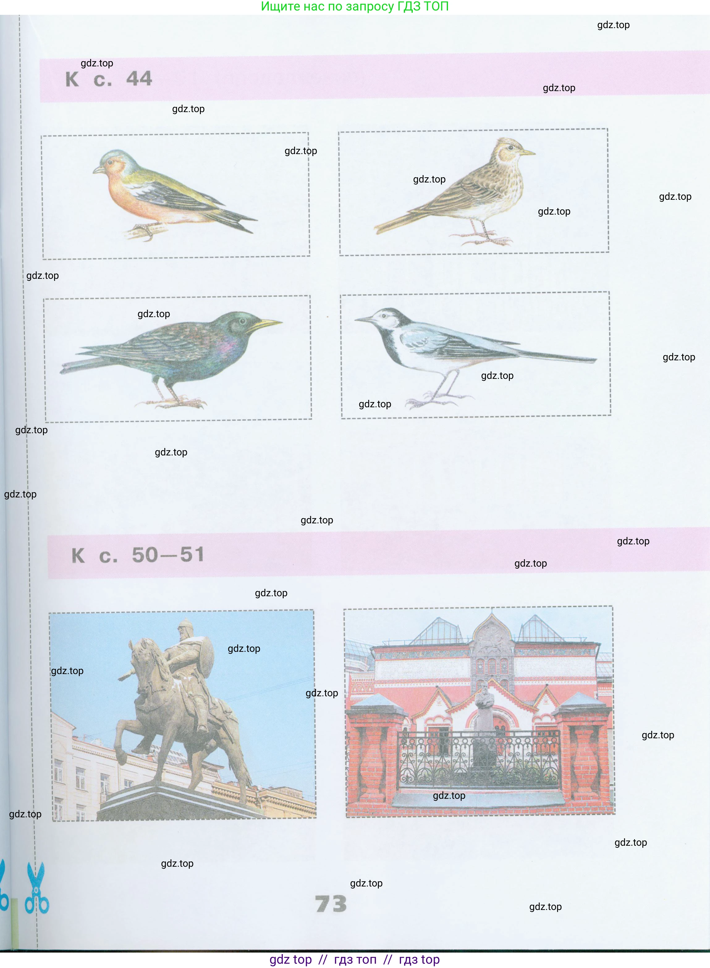 Окружающий мир, 2 класс рабочая тетрадь, автор: Плешаков Андрей Анатольевич, издательство Просвещение, Москва, 2023, белого цвета, страница 73