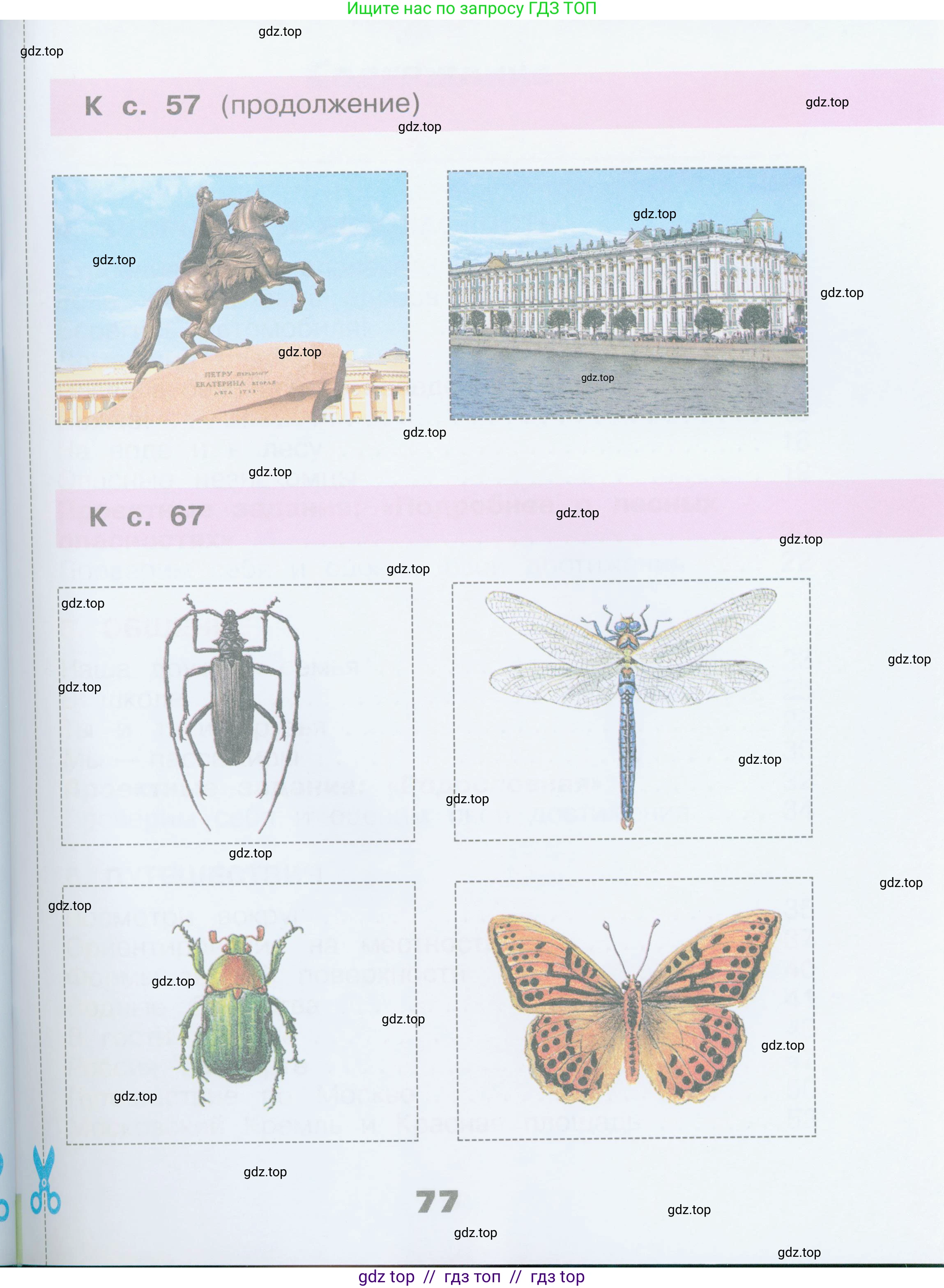 Окружающий мир, 2 класс рабочая тетрадь, автор: Плешаков Андрей Анатольевич, издательство Просвещение, Москва, 2023, белого цвета, страница 77