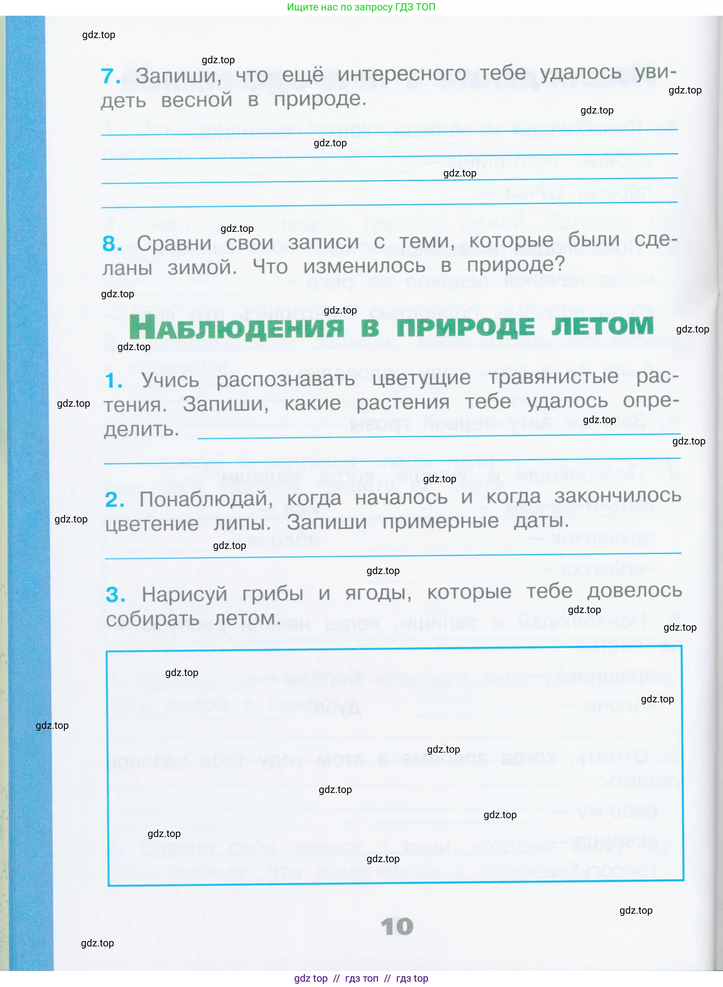 Окружающий мир, 2 класс рабочая тетрадь, автор: Плешаков Андрей Анатольевич, издательство Просвещение, Москва, 2023, белого цвета, страница 10