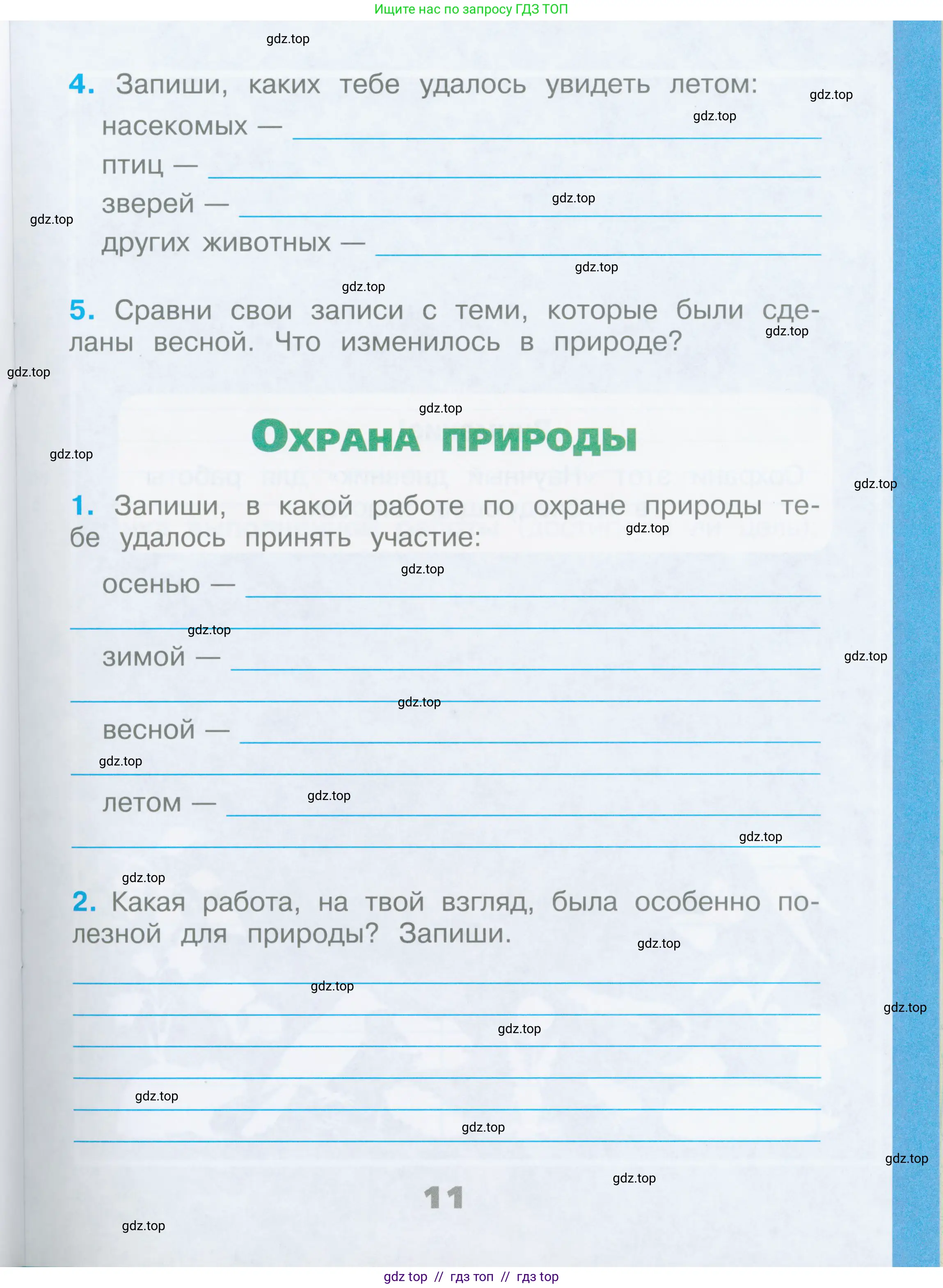 Окружающий мир, 2 класс рабочая тетрадь, автор: Плешаков Андрей Анатольевич, издательство Просвещение, Москва, 2023, белого цвета, страница 11