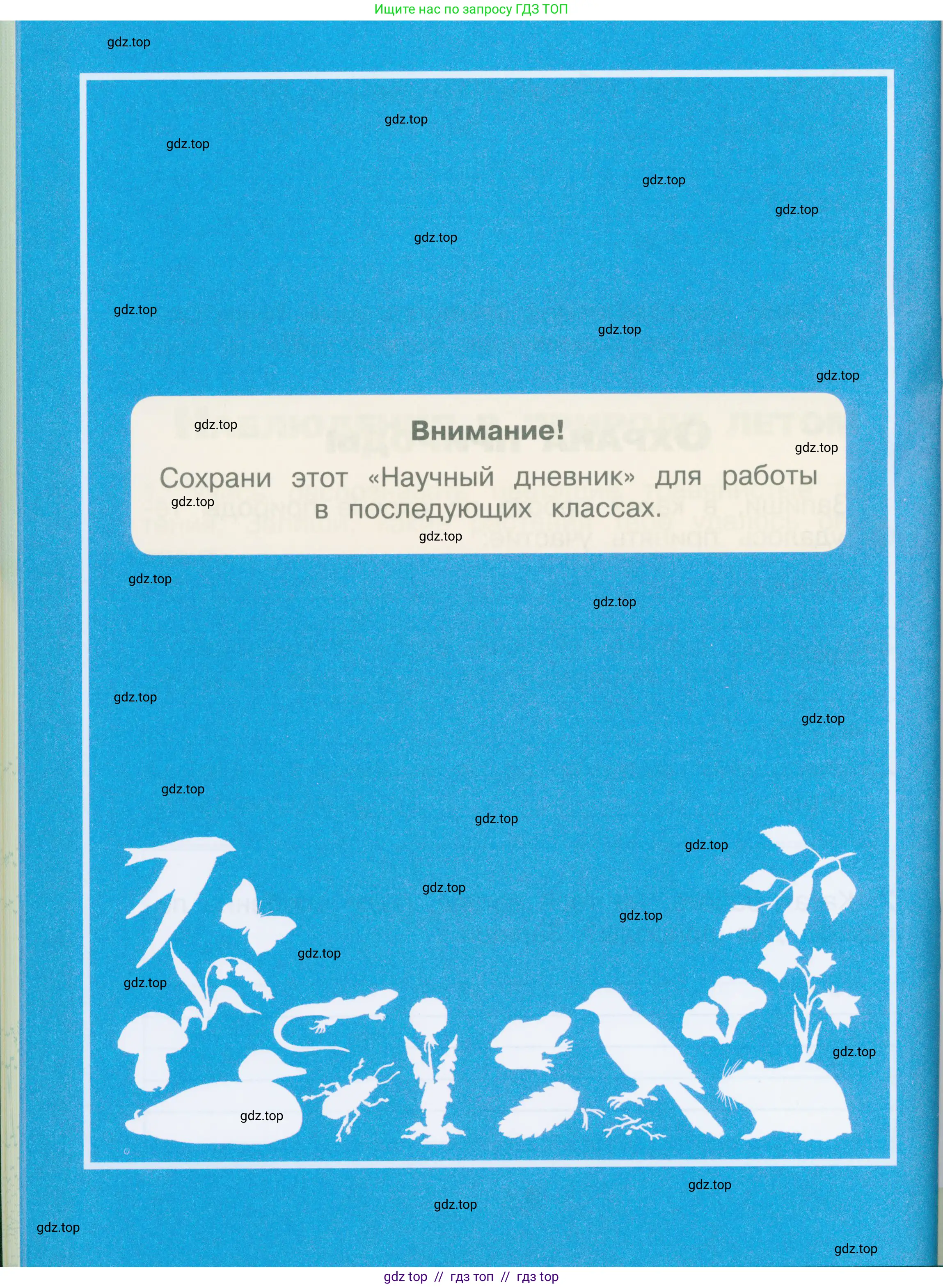 Окружающий мир, 2 класс рабочая тетрадь, автор: Плешаков Андрей Анатольевич, издательство Просвещение, Москва, 2023, белого цвета, страница 12
