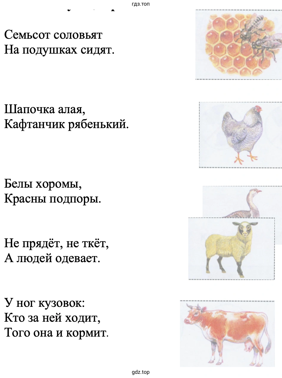 Отгадайте загадки