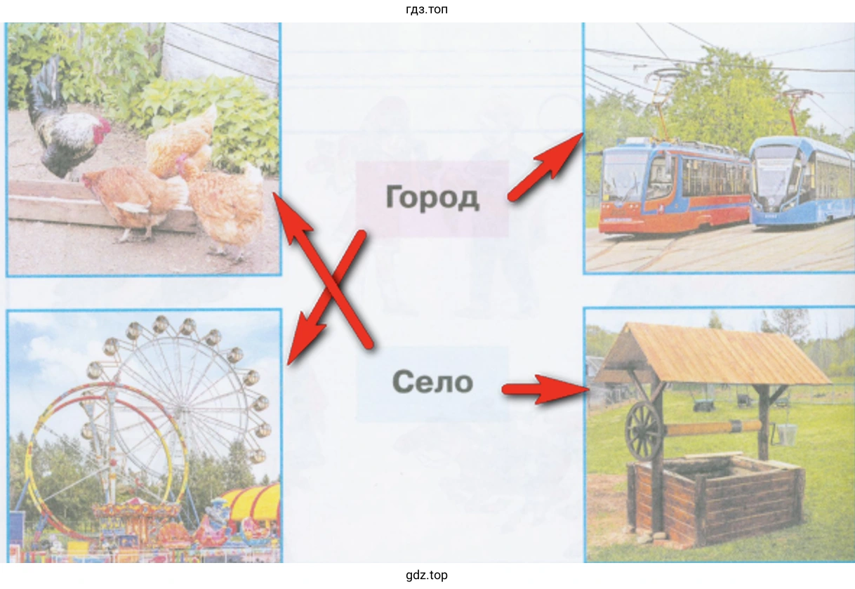 Укажите стрелками предметы городской и сельской жизни
