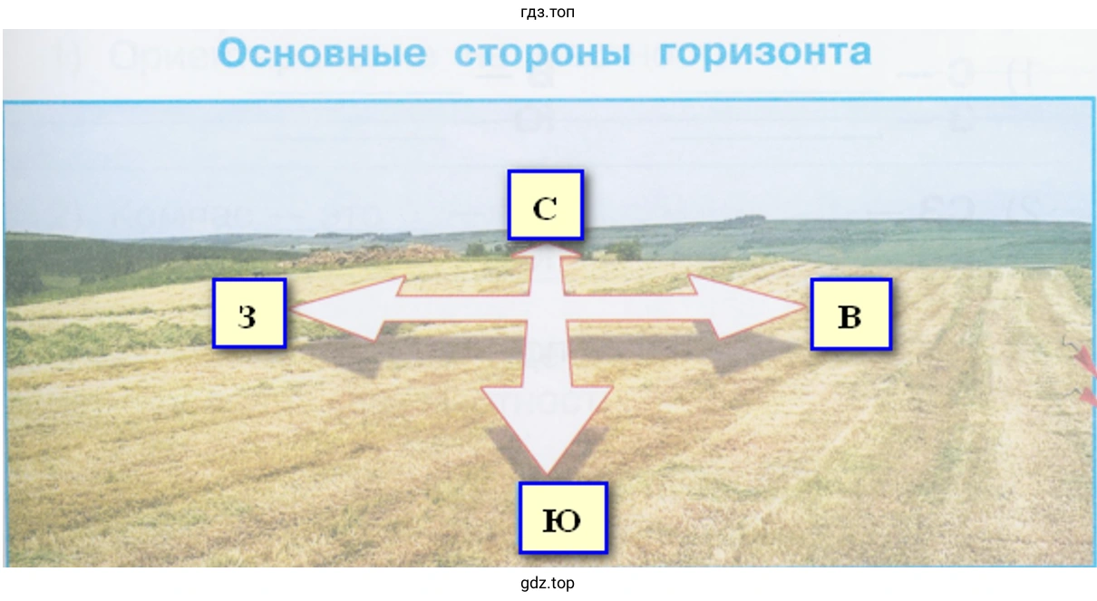 Основные стороны горизонта