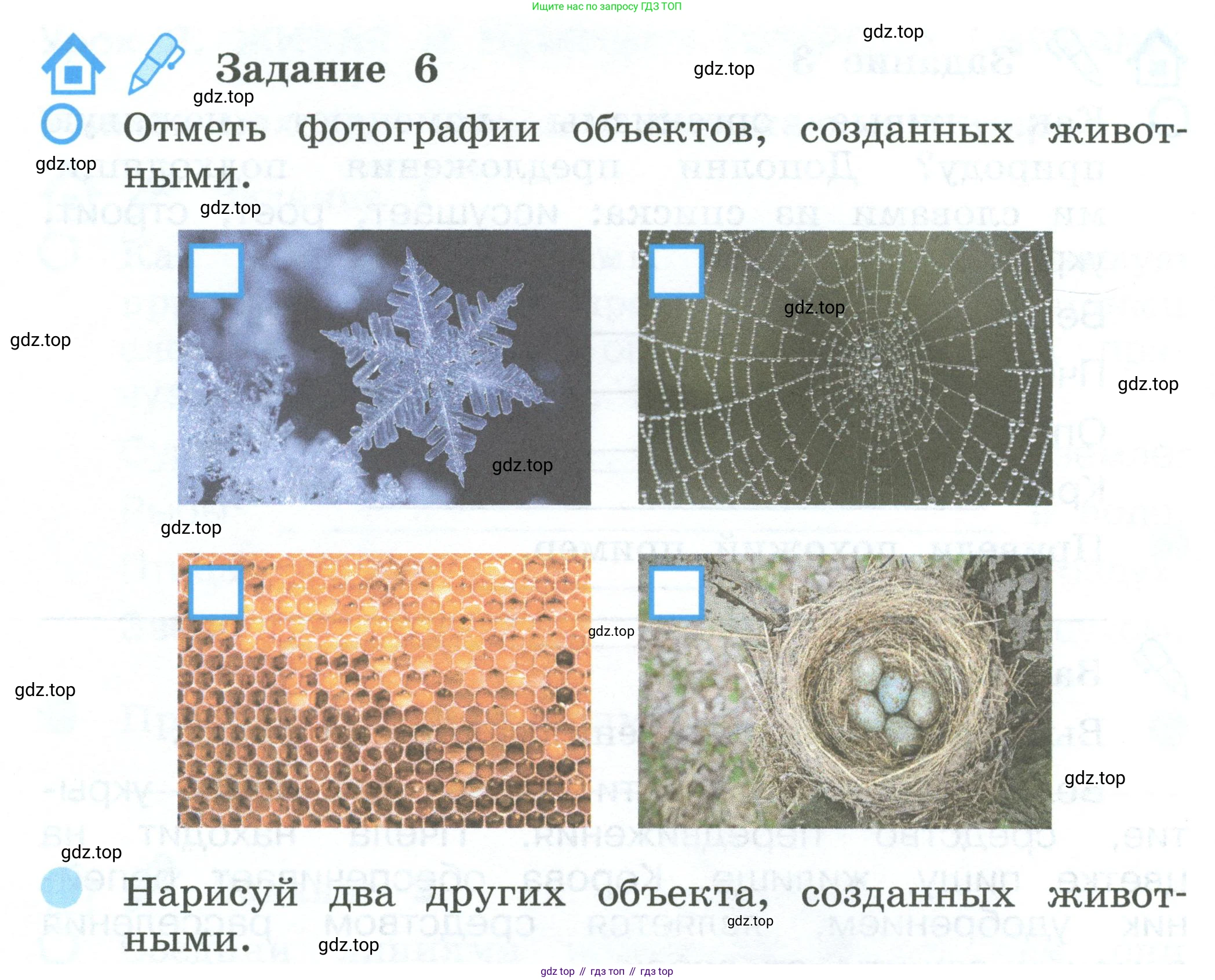 ГДЗ Окружающий мир, 2 класс рабочая тетрадь, авторы: Вахрушев Александр Александрович, Ловягин С Н, Зорин Н В, Кремлева И И, издательство Просвещение, Москва, салатового цвета, Часть 1, страница 6, номер 6, Условие