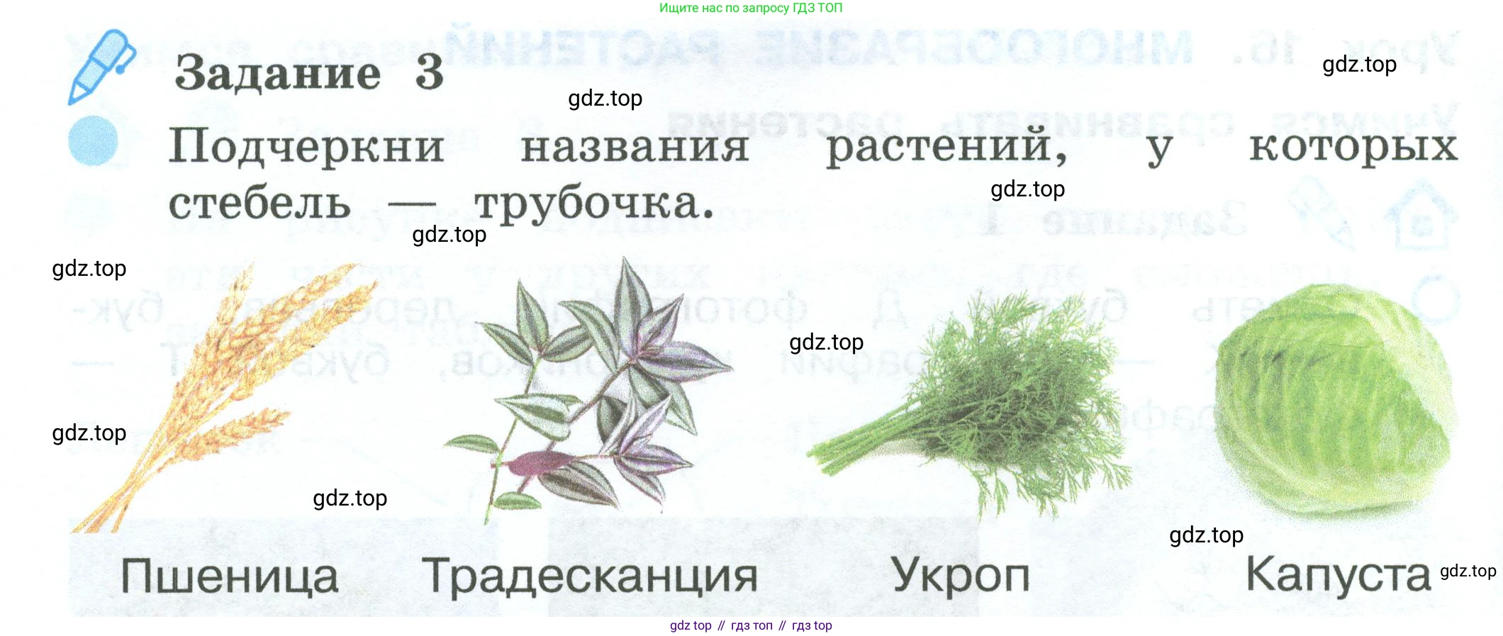 ГДЗ Окружающий мир, 2 класс рабочая тетрадь, авторы: Вахрушев Александр Александрович, Ловягин С Н, Зорин Н В, Кремлева И И, издательство Просвещение, Москва, салатового цвета, Часть 1, страница 42, номер 3, Условие