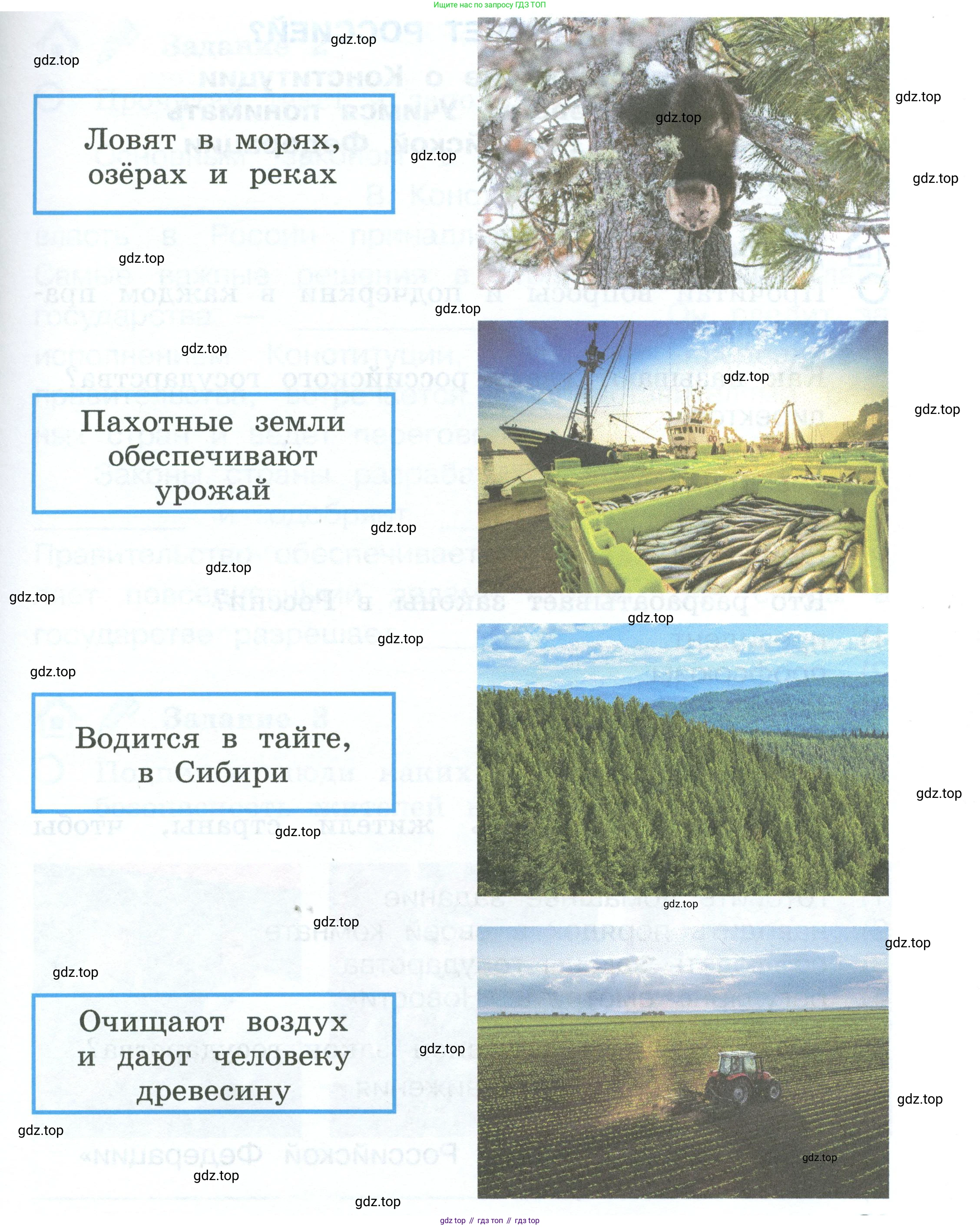ГДЗ Окружающий мир, 2 класс рабочая тетрадь, авторы: Вахрушев Александр Александрович, Ловягин С Н, Зорин Н В, Кремлева И И, издательство Просвещение, Москва, салатового цвета, Часть 2, страница 20, номер 6, Условие (продолжение 2)