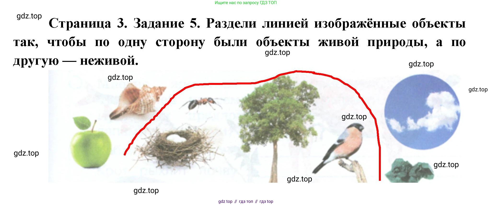 ГДЗ Окружающий мир, 2 класс рабочая тетрадь, авторы: Вахрушев Александр Александрович, Ловягин С Н, Зорин Н В, Кремлева И И, издательство Просвещение, Москва, салатового цвета, Часть 1, страница 3, номер 5, Решение