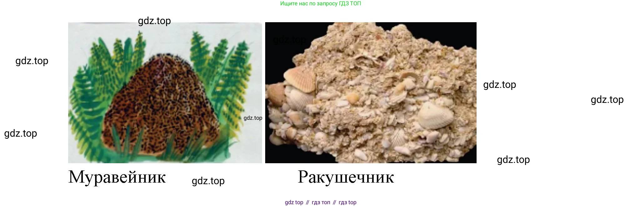 ГДЗ Окружающий мир, 2 класс рабочая тетрадь, авторы: Вахрушев Александр Александрович, Ловягин С Н, Зорин Н В, Кремлева И И, издательство Просвещение, Москва, салатового цвета, Часть 1, страница 6, номер 6, Решение (продолжение 2)