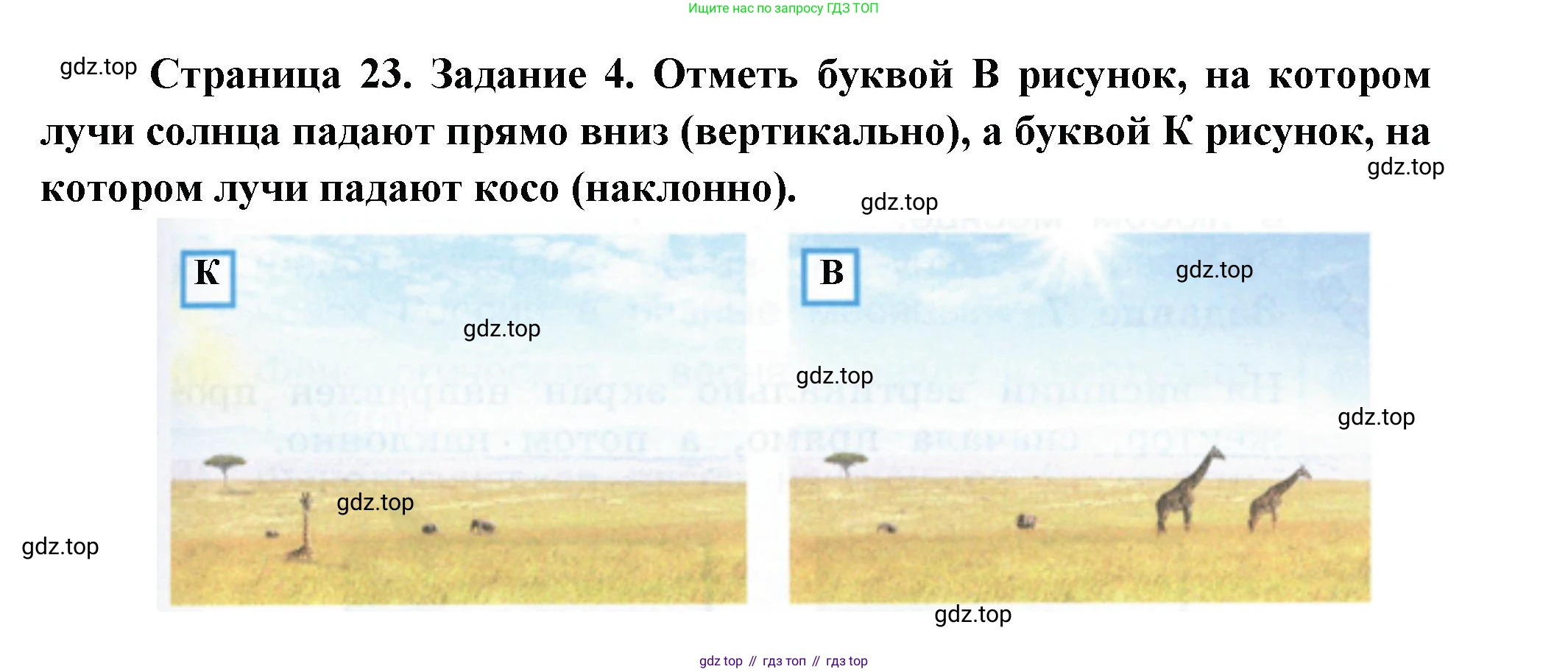 ГДЗ Окружающий мир, 2 класс рабочая тетрадь, авторы: Вахрушев Александр Александрович, Ловягин С Н, Зорин Н В, Кремлева И И, издательство Просвещение, Москва, салатового цвета, Часть 1, страница 23, номер 4, Решение