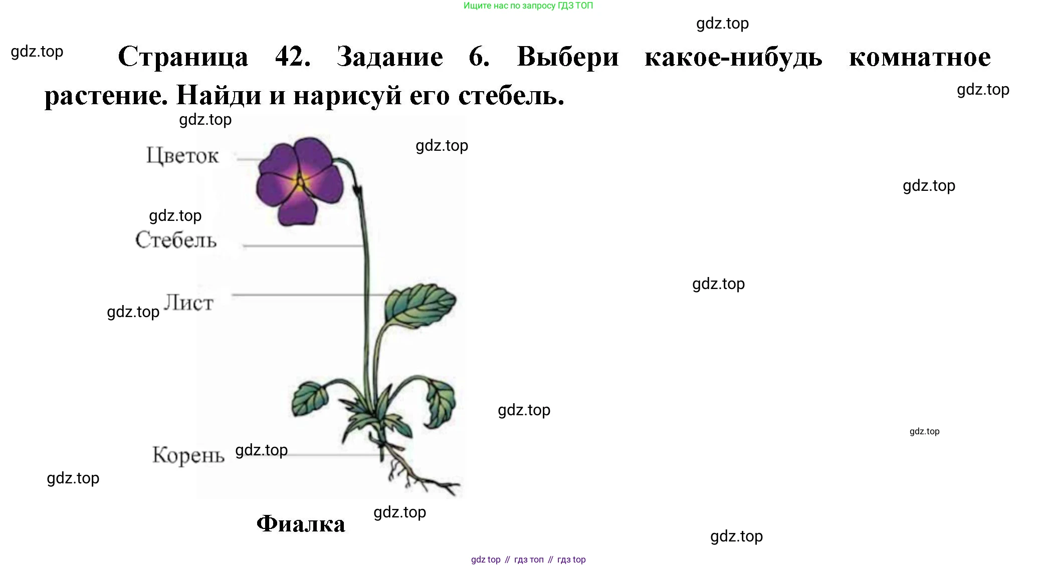 ГДЗ Окружающий мир, 2 класс рабочая тетрадь, авторы: Вахрушев Александр Александрович, Ловягин С Н, Зорин Н В, Кремлева И И, издательство Просвещение, Москва, салатового цвета, Часть 1, страница 42, номер 6, Решение