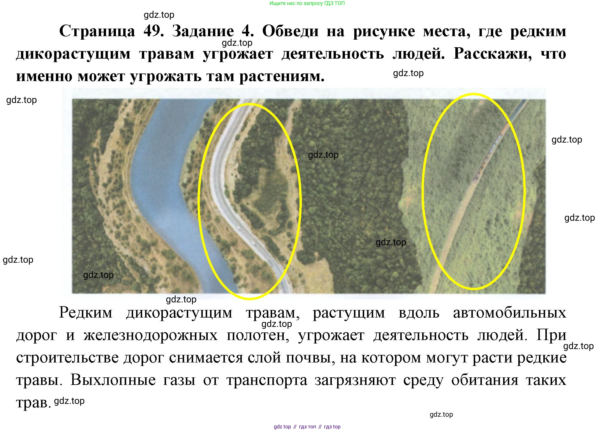 ГДЗ Окружающий мир, 2 класс рабочая тетрадь, авторы: Вахрушев Александр Александрович, Ловягин С Н, Зорин Н В, Кремлева И И, издательство Просвещение, Москва, салатового цвета, Часть 1, страница 49, номер 4, Решение