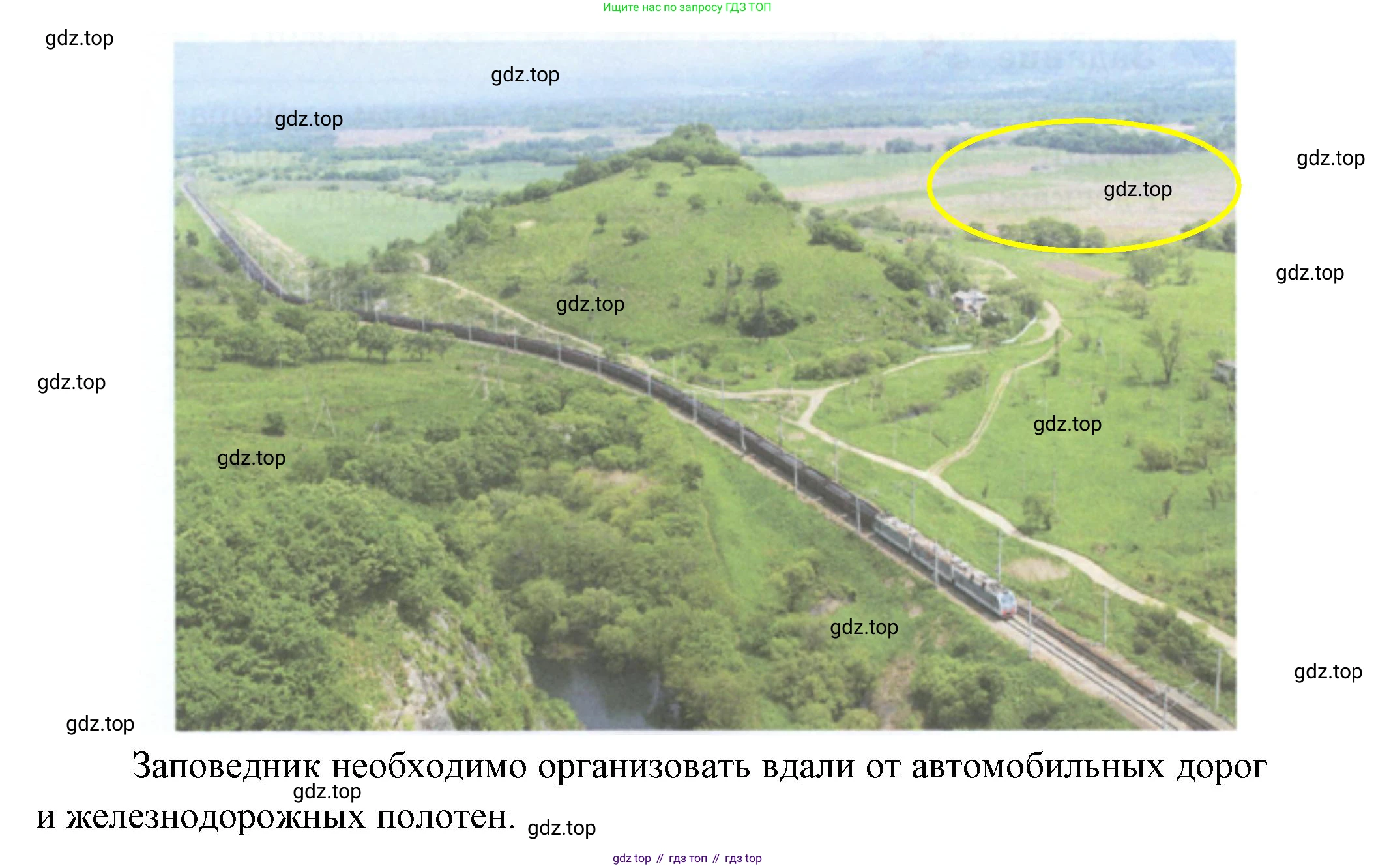 ГДЗ Окружающий мир, 2 класс рабочая тетрадь, авторы: Вахрушев Александр Александрович, Ловягин С Н, Зорин Н В, Кремлева И И, издательство Просвещение, Москва, салатового цвета, Часть 1, страница 50, номер 6, Решение (продолжение 2)