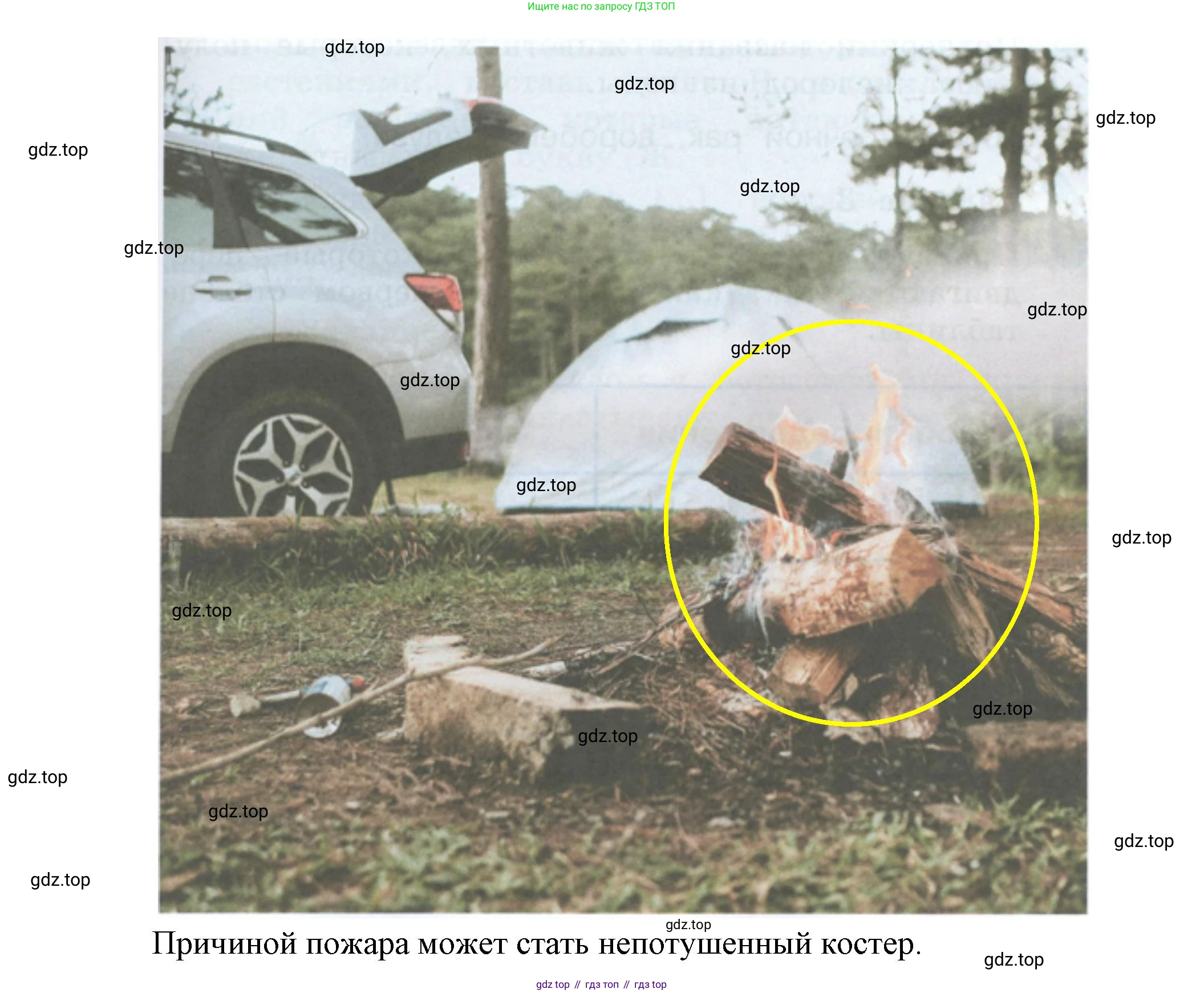 ГДЗ Окружающий мир, 2 класс рабочая тетрадь, авторы: Вахрушев Александр Александрович, Ловягин С Н, Зорин Н В, Кремлева И И, издательство Просвещение, Москва, салатового цвета, Часть 1, страница 51, номер 7, Решение (продолжение 2)