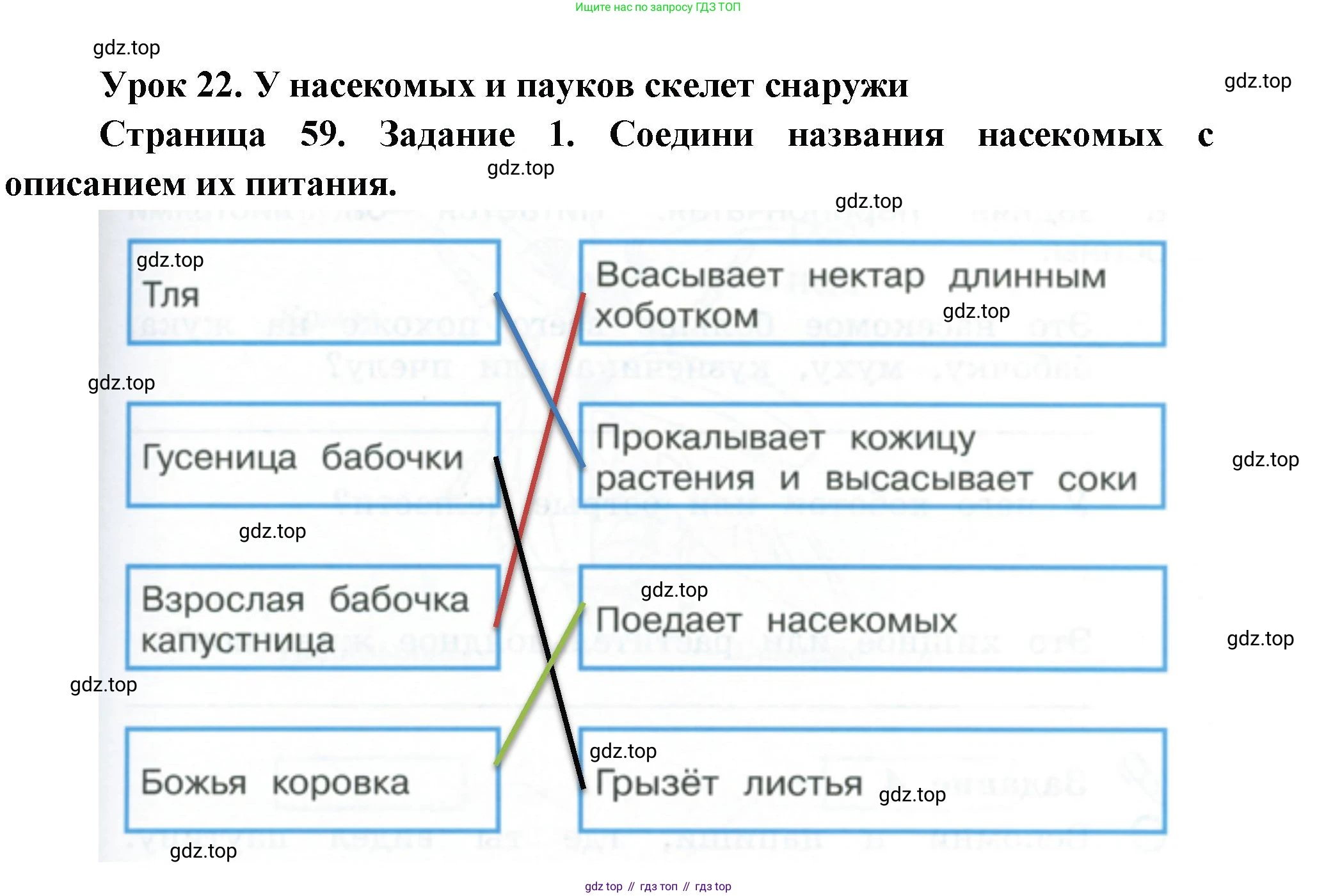 ГДЗ Окружающий мир, 2 класс рабочая тетрадь, авторы: Вахрушев Александр Александрович, Ловягин С Н, Зорин Н В, Кремлева И И, издательство Просвещение, Москва, салатового цвета, Часть 1, страница 59, номер 1, Решение