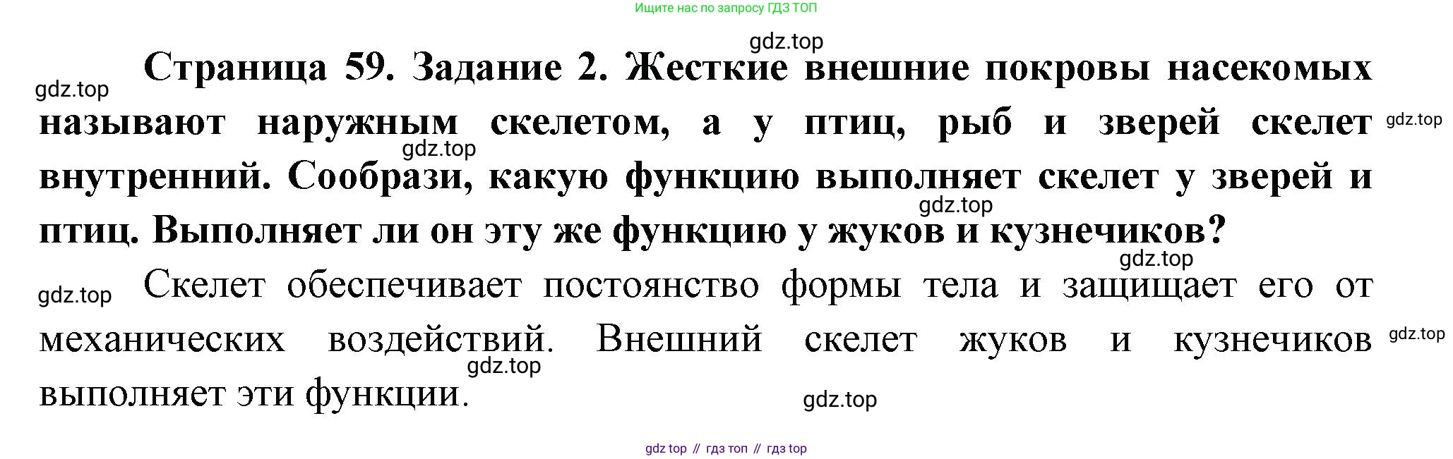 ГДЗ Окружающий мир, 2 класс рабочая тетрадь, авторы: Вахрушев Александр Александрович, Ловягин С Н, Зорин Н В, Кремлева И И, издательство Просвещение, Москва, салатового цвета, Часть 1, страница 59, номер 2, Решение