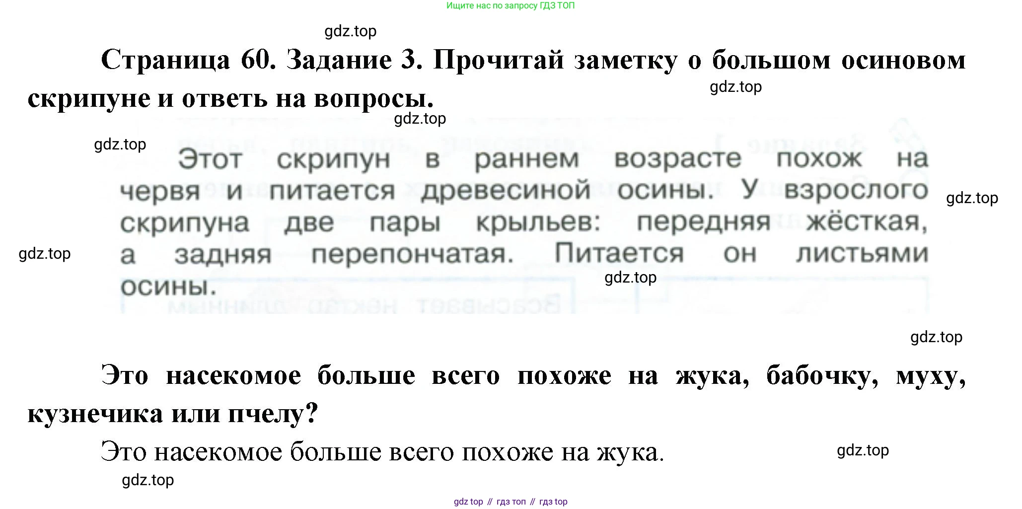 ГДЗ Окружающий мир, 2 класс рабочая тетрадь, авторы: Вахрушев Александр Александрович, Ловягин С Н, Зорин Н В, Кремлева И И, издательство Просвещение, Москва, салатового цвета, Часть 1, страница 60, номер 3, Решение
